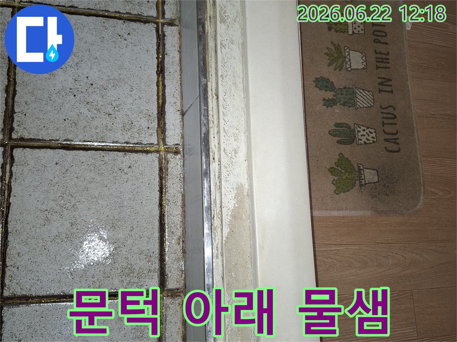 화장실 문턱 주변에 물기가 스며들어 마루가 젖은 모습을 담은 이미지-누수 원인 파악을 위한 현장 사진-전문가의 도움이 필요한 상황
