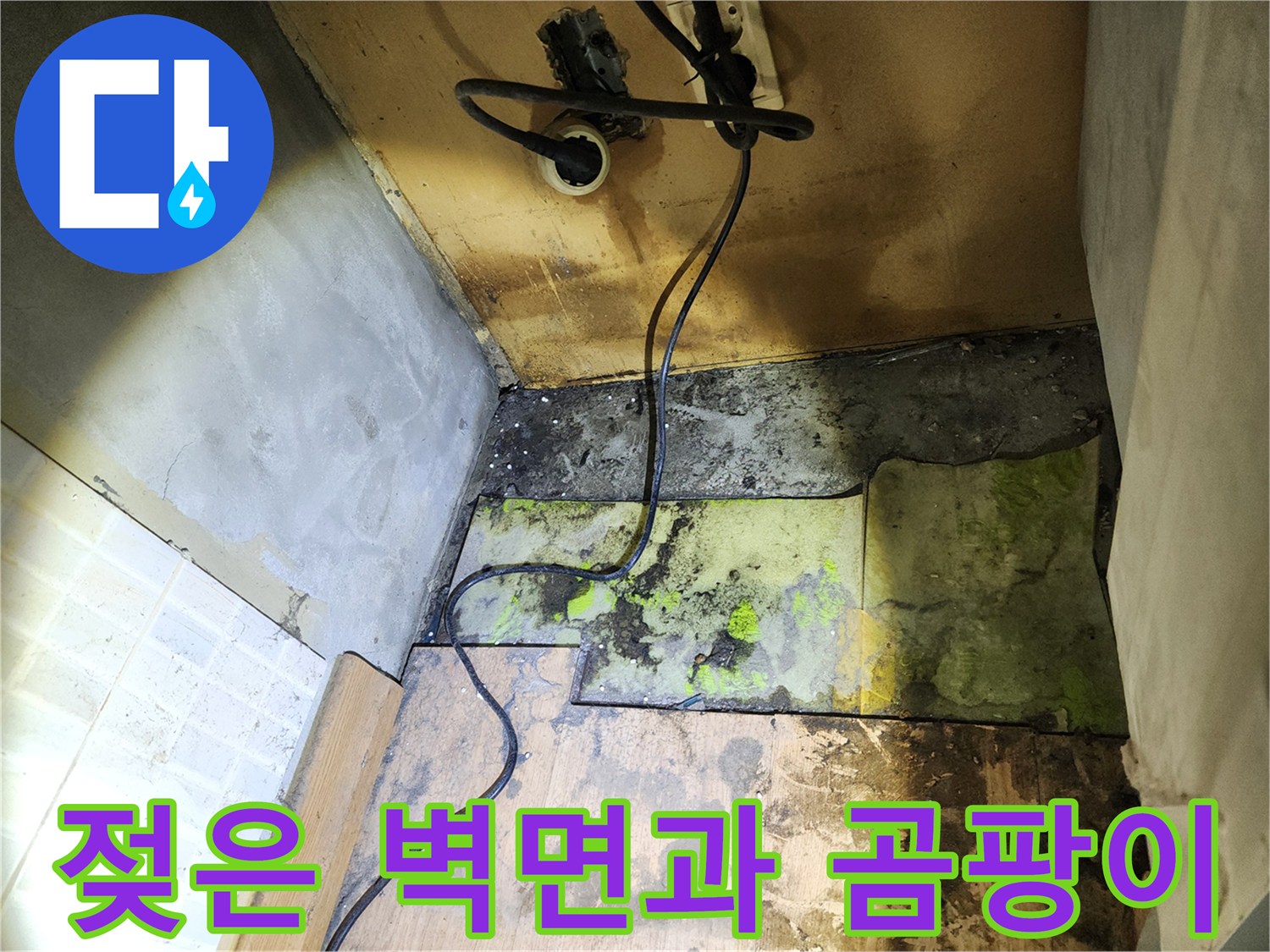 송파구 작업 현장-습기로 인해 변색된 벽면 하단부와 곰팡이
