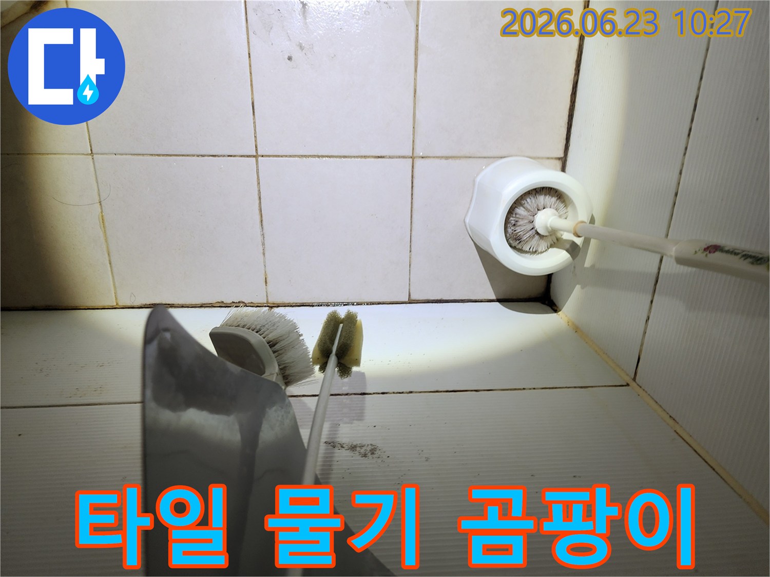 이 이미지는-욕실 바닥 타일의-줄눈에 생긴-검은 곰팡이와-오염된 변기 솔-주변을-보여주며-타일 틈새로 물이-침투하여 발생한-곰팡이 문제임을-시사합니다.