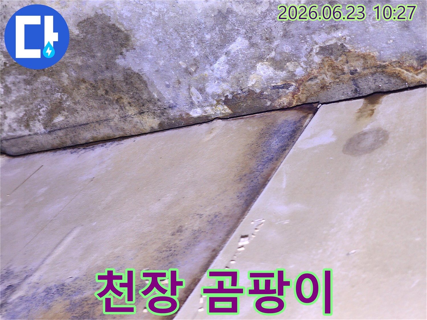 천장 마감재가 물에 젖어 변색되고 곰팡이가 발생한-누수 피해 현장 사진