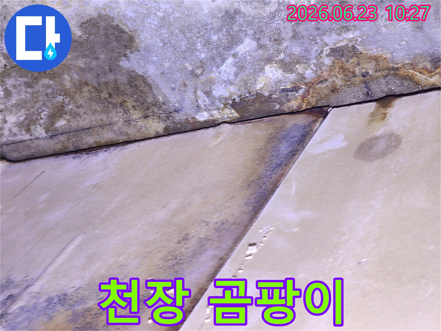 천장 마감재가 물에 젖어 변색되고 곰팡이가 발생한-누수 피해 현장 사진