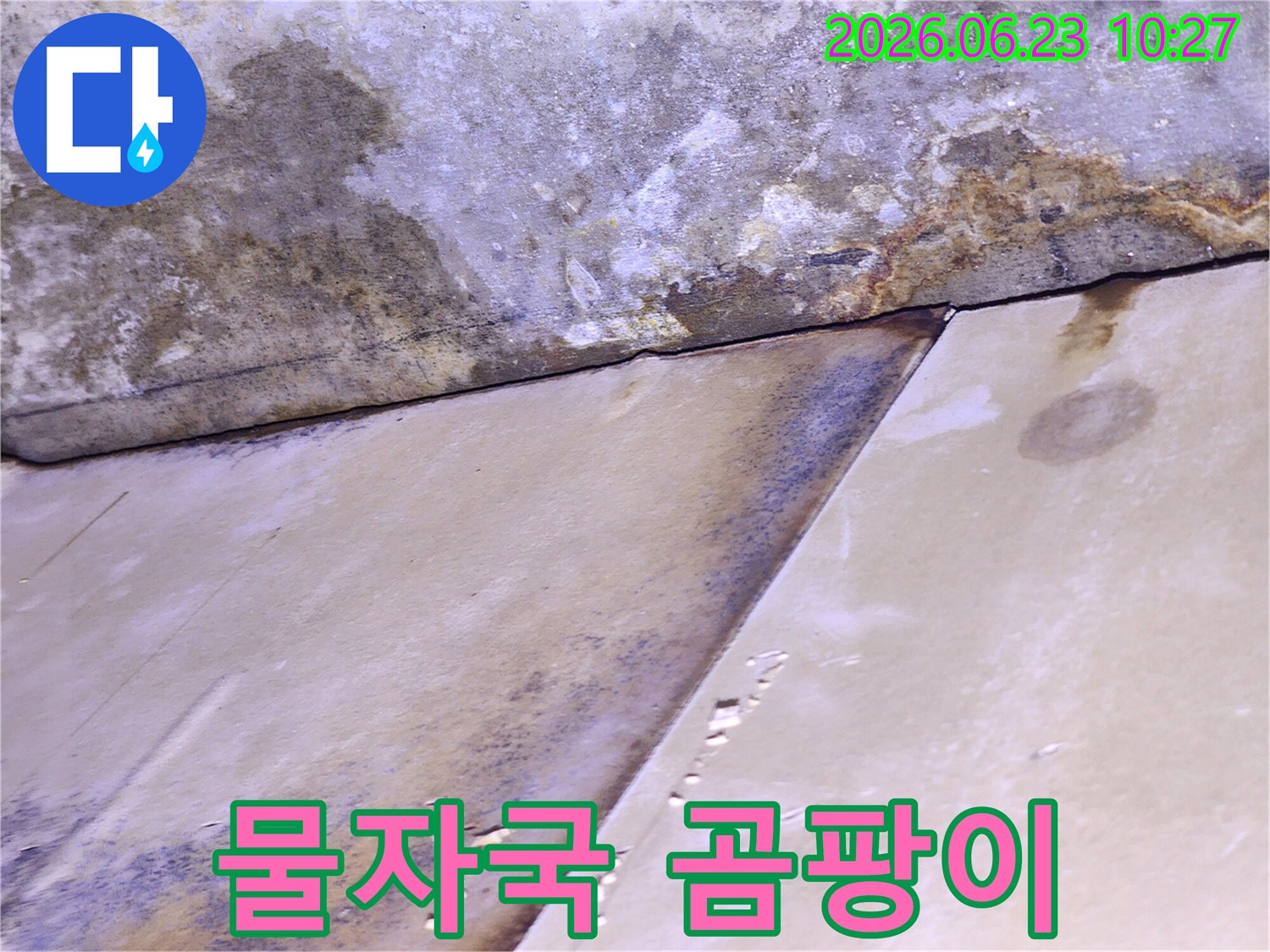 천장 패널 이음새 부분에서 물이 새어 얼룩과 곰팡이가 생긴-심각한 누수 상황