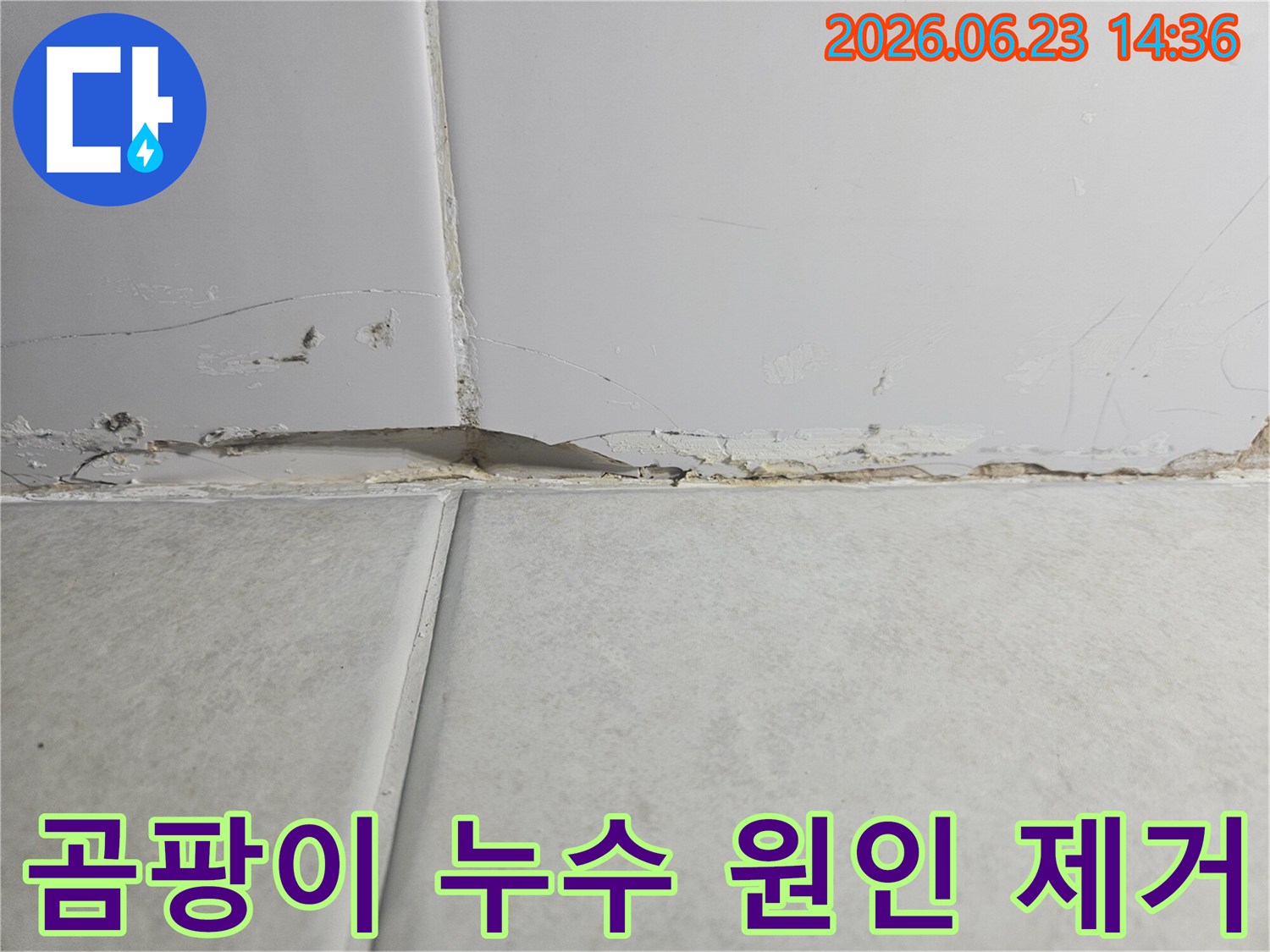 벽면-상단-경계에서-누수로-인해-벽지가-들뜨고-곰팡이가-생긴-심각한-손상-상황으로-곰팡이-제거가-시급합니다
