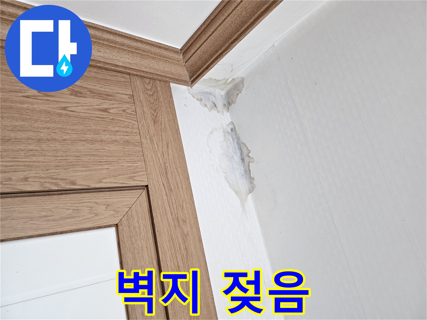 이 이미지는-벽과 천장 모서리에-누수로 인한-젖은 자국과-곰팡이가 생긴-모습을 보여줍니다.