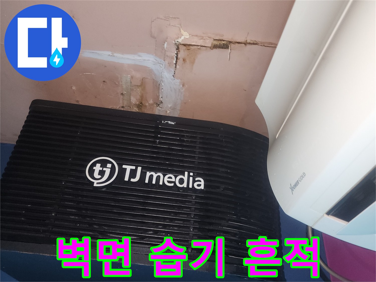 벽면에-오랜 시간 동안-물이 스며들어 생긴-습기 자국과-변색이-뚜렷하게 관찰됩니다