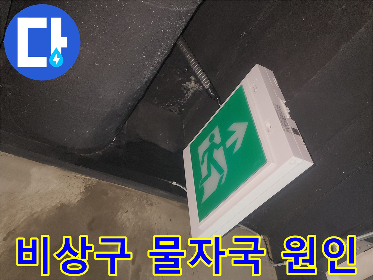 비상구 등기구 주변에 생긴 물자국을-저희 엔지니어가 면밀히 관찰하고 있습니다
