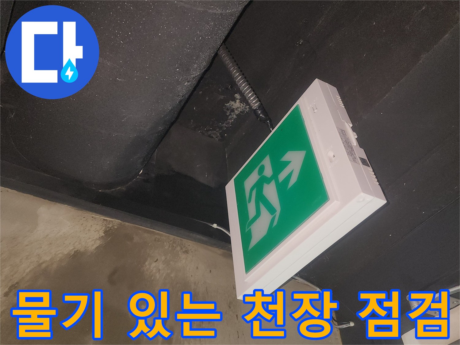 비상구 등기구 주변의 습기와-물자국을 면밀히 관찰하는 현장 사진입니다