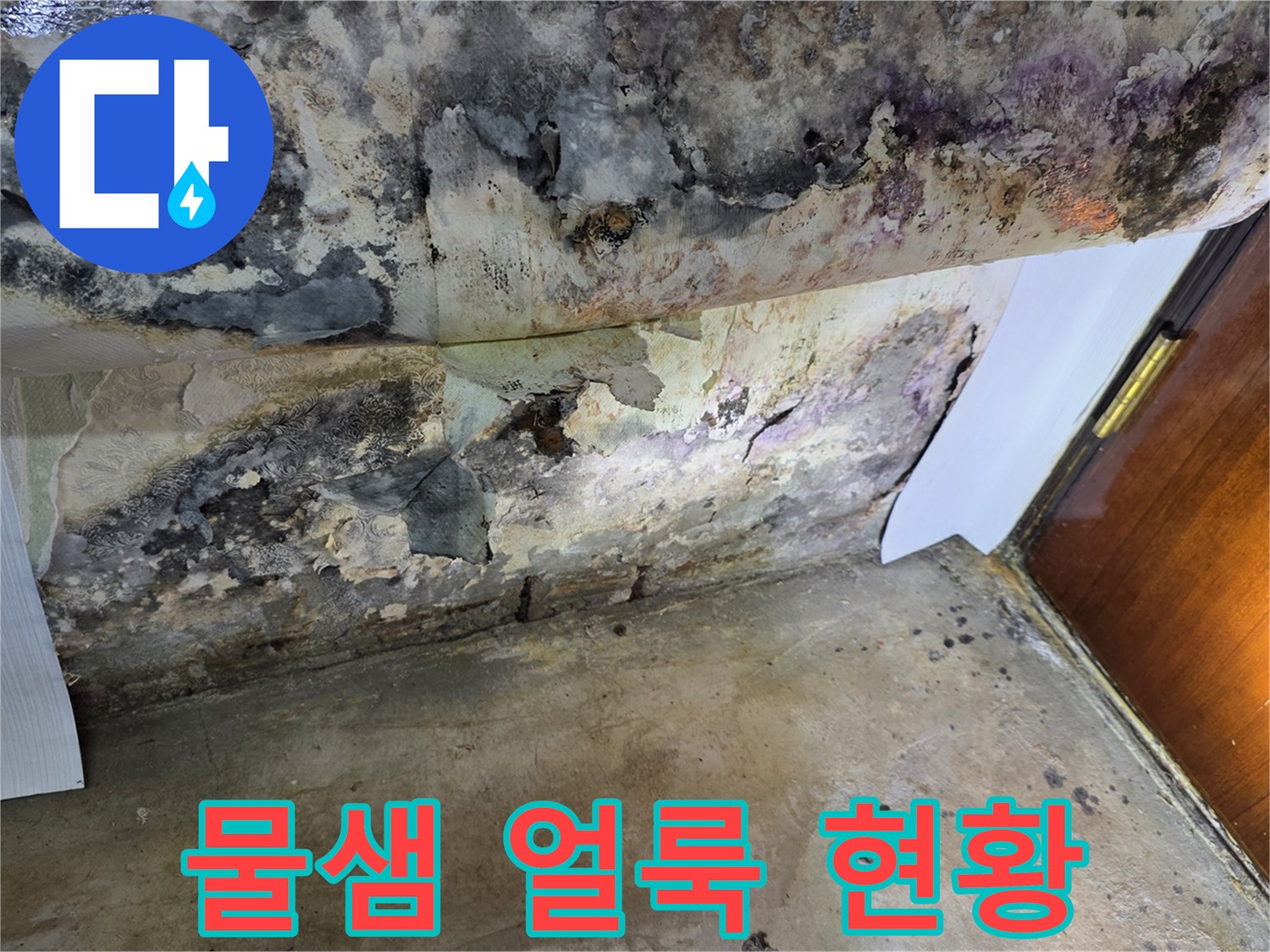 천장에-남겨진-심한-물샘-얼룩