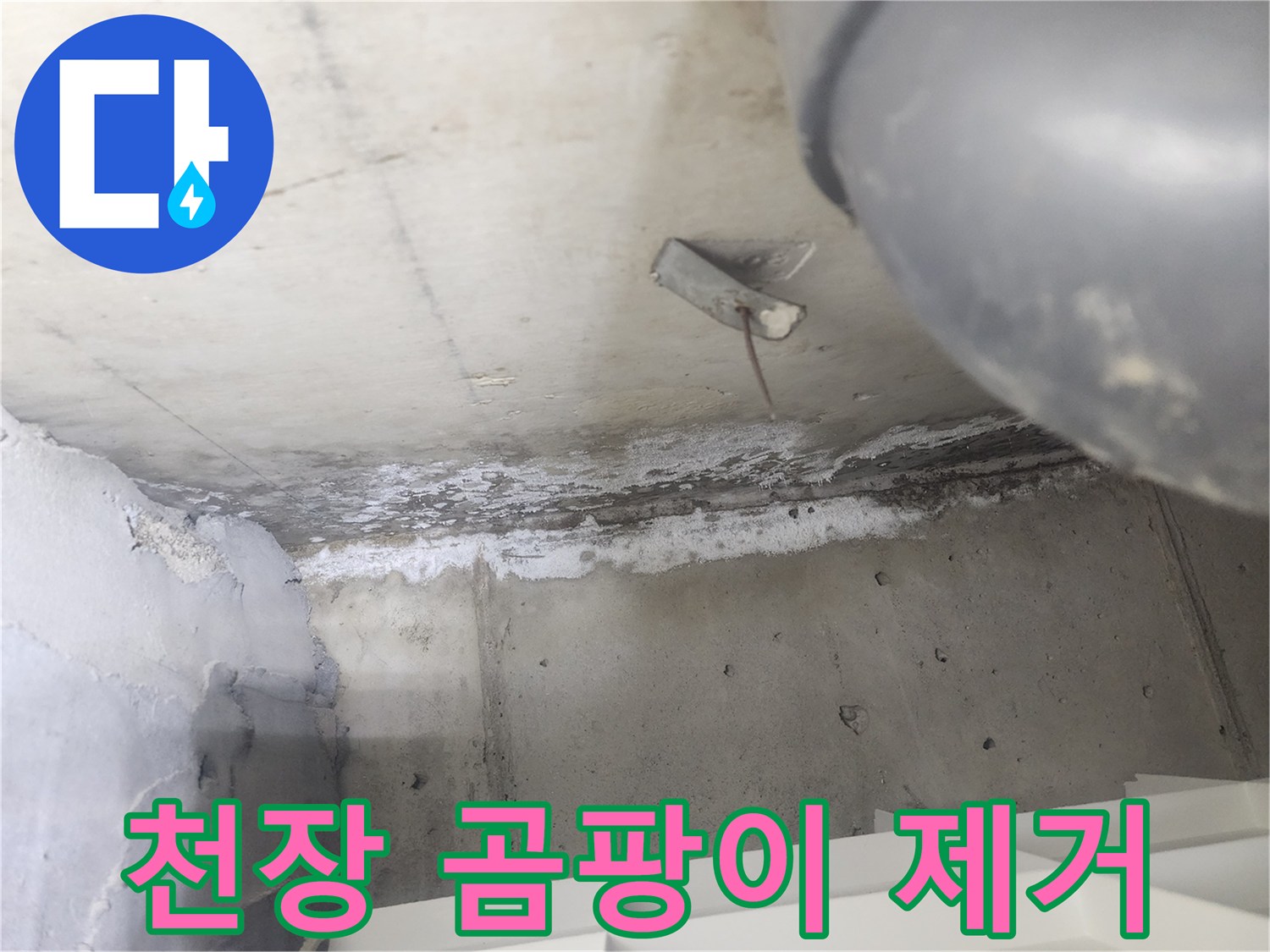 도봉구 시루봉로2길 아파트에서-천장 누수로 인해-발생한 곰팡이를-제거하는 현장입니다