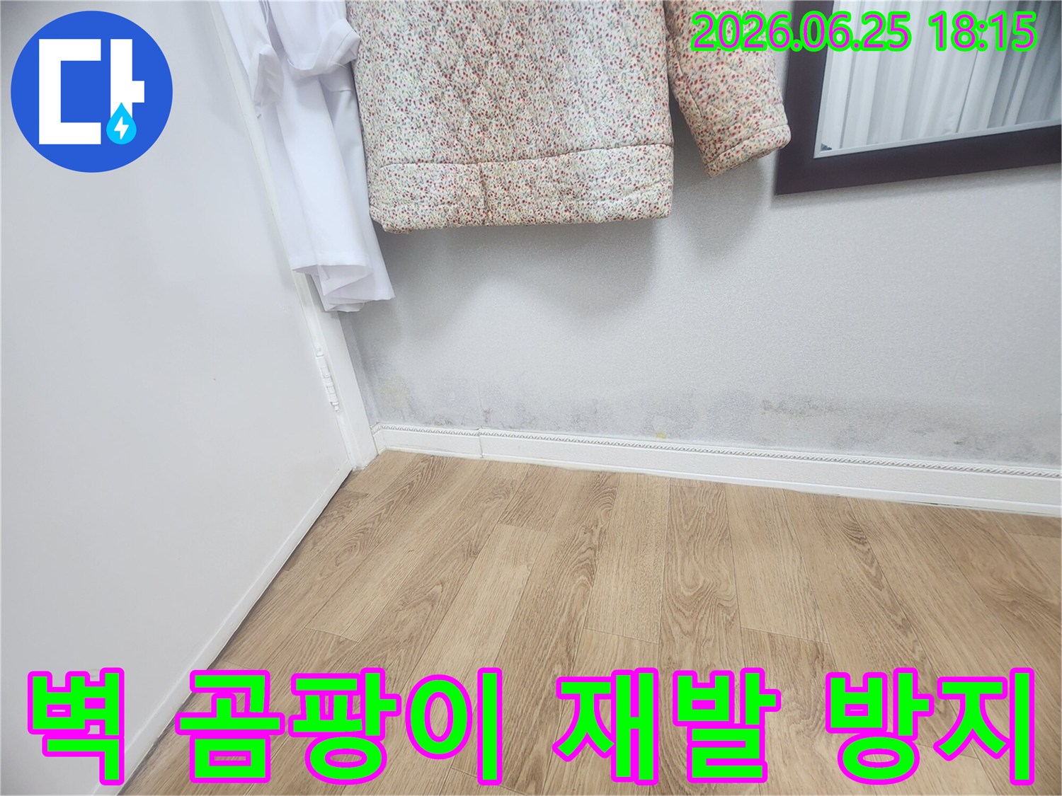 벽 하단에 발생한 곰팡이와-습기 자국은-누수로 인한 것임을 보여주며-재발 없는 완벽한 해결을 위해-전문적인 공사가 필요합니다.