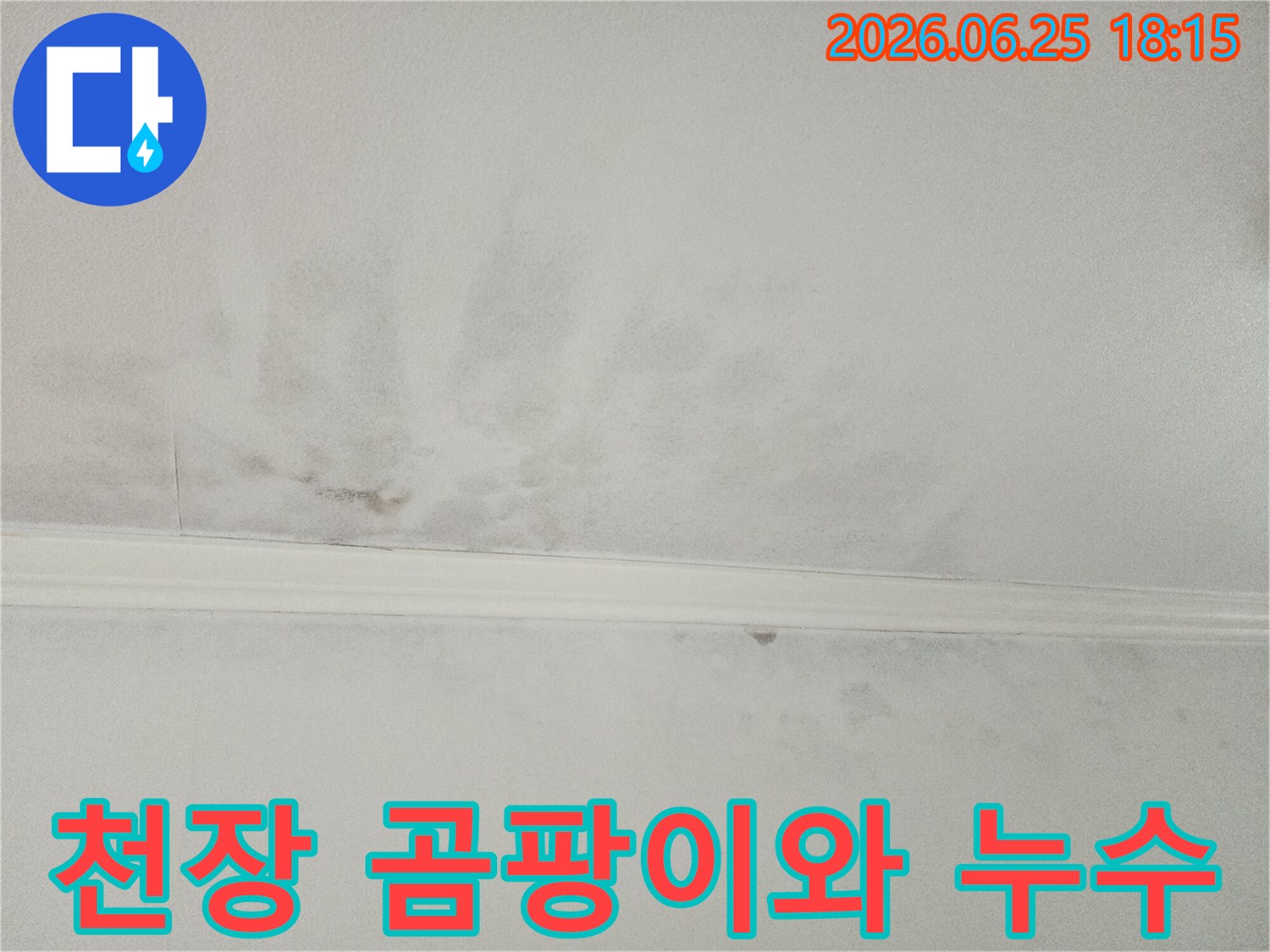 천장에 넓게 퍼진-물자국과 함께-생겨난 곰팡이로-누수와 습기 피해를-명확히 보여주고 있습니다