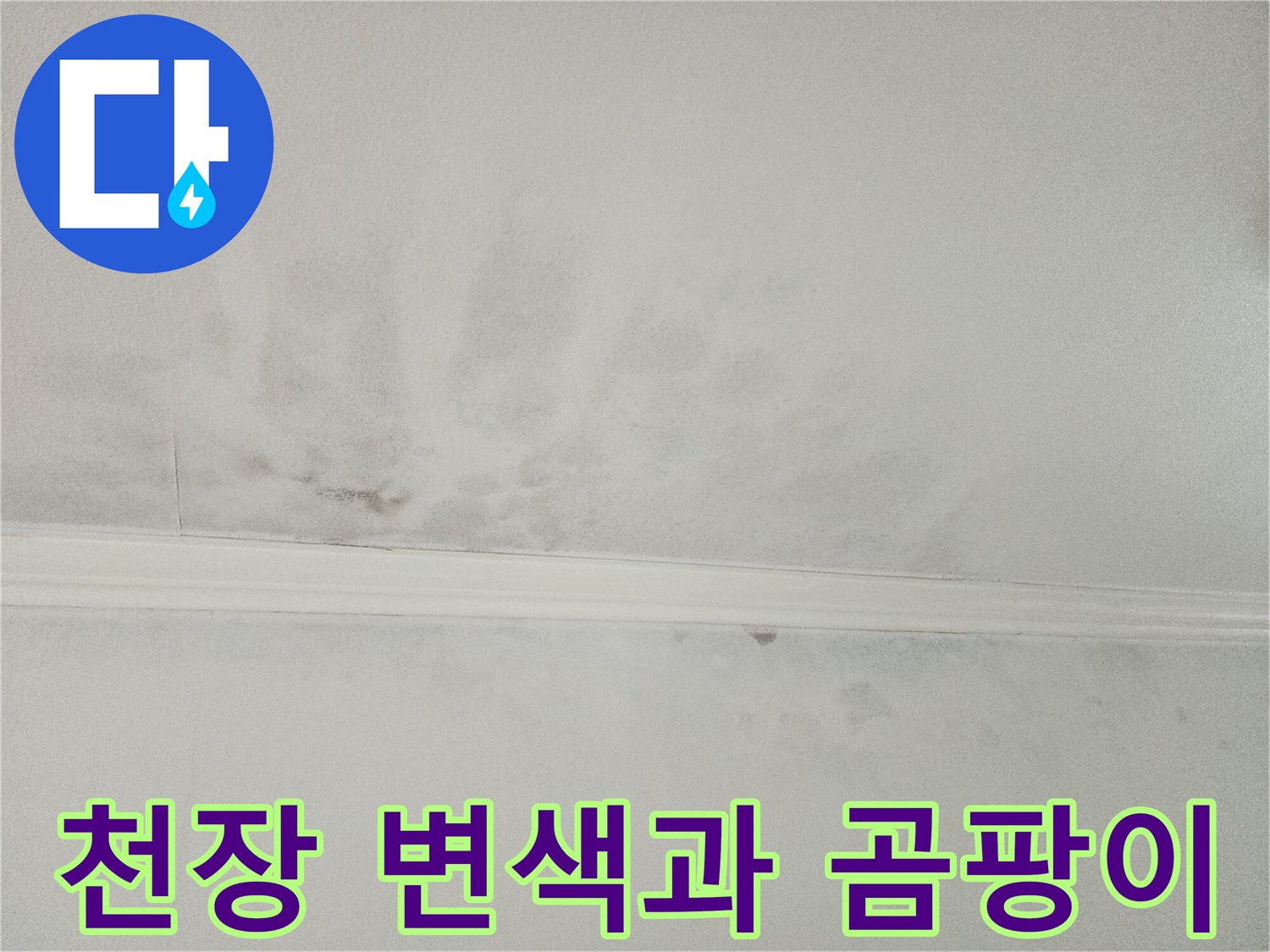 천장에 생긴-변색된 얼룩과-초기 곰팡이-흔적으로-누수로 인한-습기 피해를-보여줍니다
