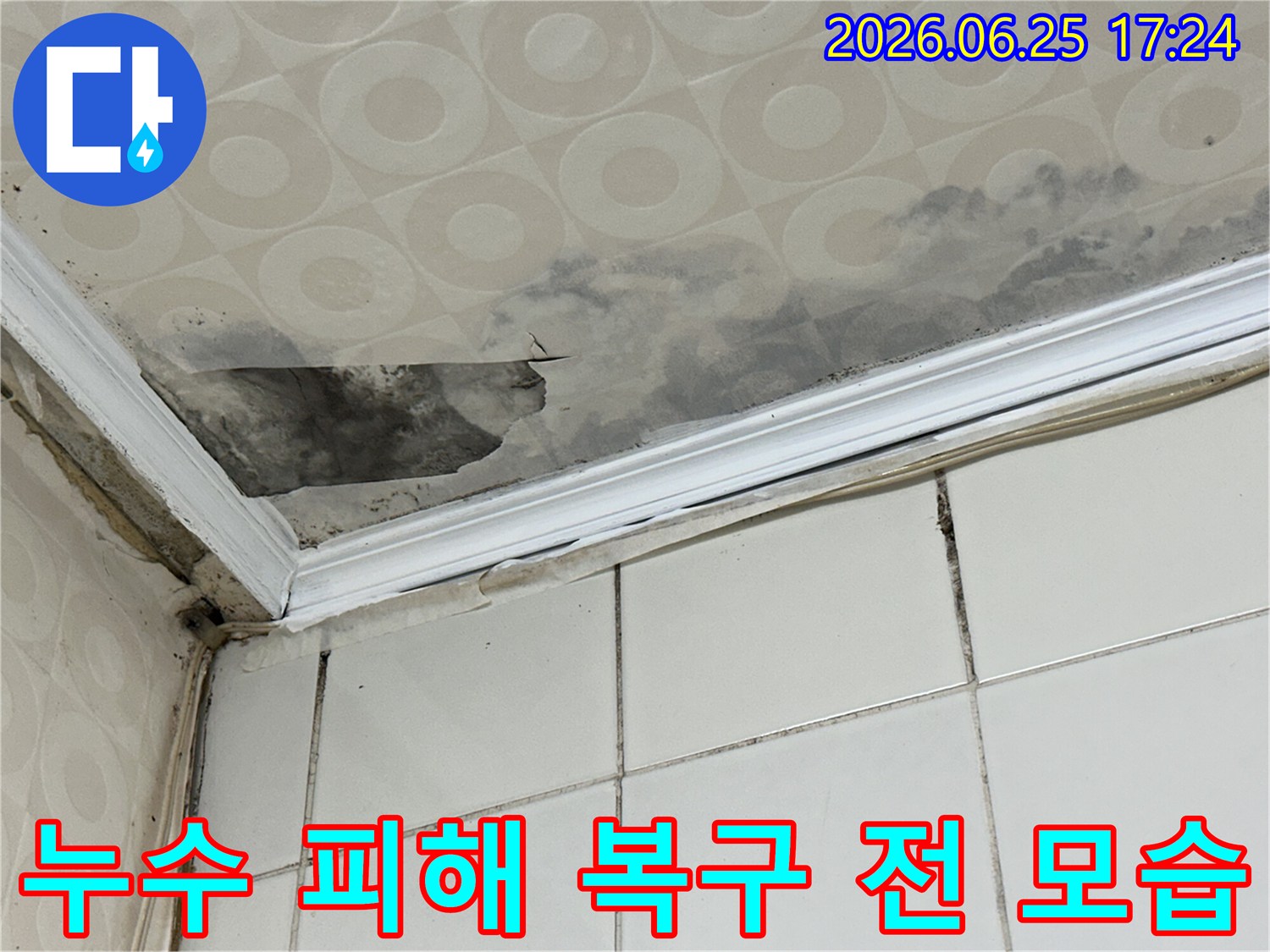 물이-새면서-천장-표면이-울퉁불퉁해지고-곰팡이가-번식한-현장을-누수-전문가가-정밀-탐지하여-완벽하게-해결합니다