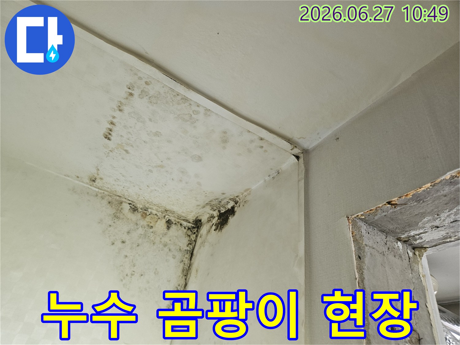 벽과 천장 모서리에 광범위하게 퍼진 검은 곰팡이 얼룩이 찍힌 사진입니다-이는 물이 새거나 결로 현상으로 인해 발생한 심각한 습기 문제를 시사합니다.