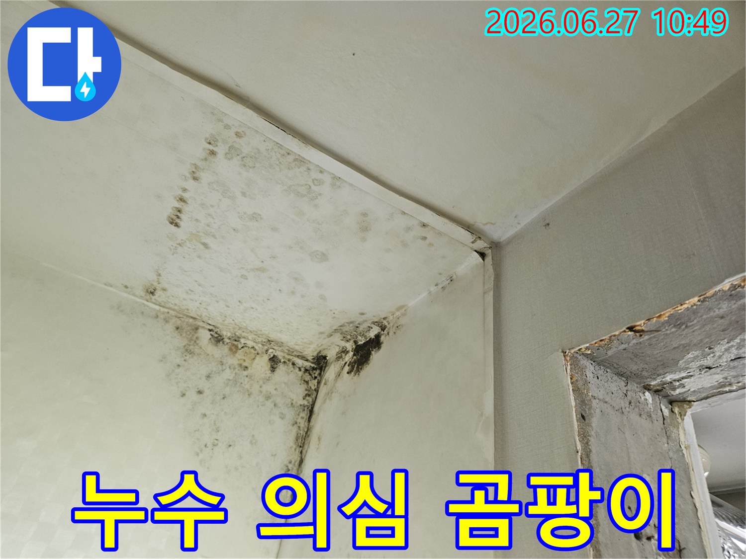 벽과 천장 모서리에 광범위하게 퍼진 검은 곰팡이 얼룩이 찍힌 사진입니다-이는 물이 새거나 결로 현상으로 인해 발생한 심각한 습기 문제를 시사합니다.