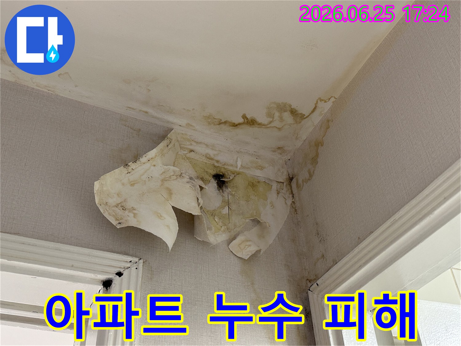 아파트 내부-천장 모서리에서-발견된 누수 흔적으로-벽지가 벗겨지고-얼룩이 진 상태를-담고 있습니다