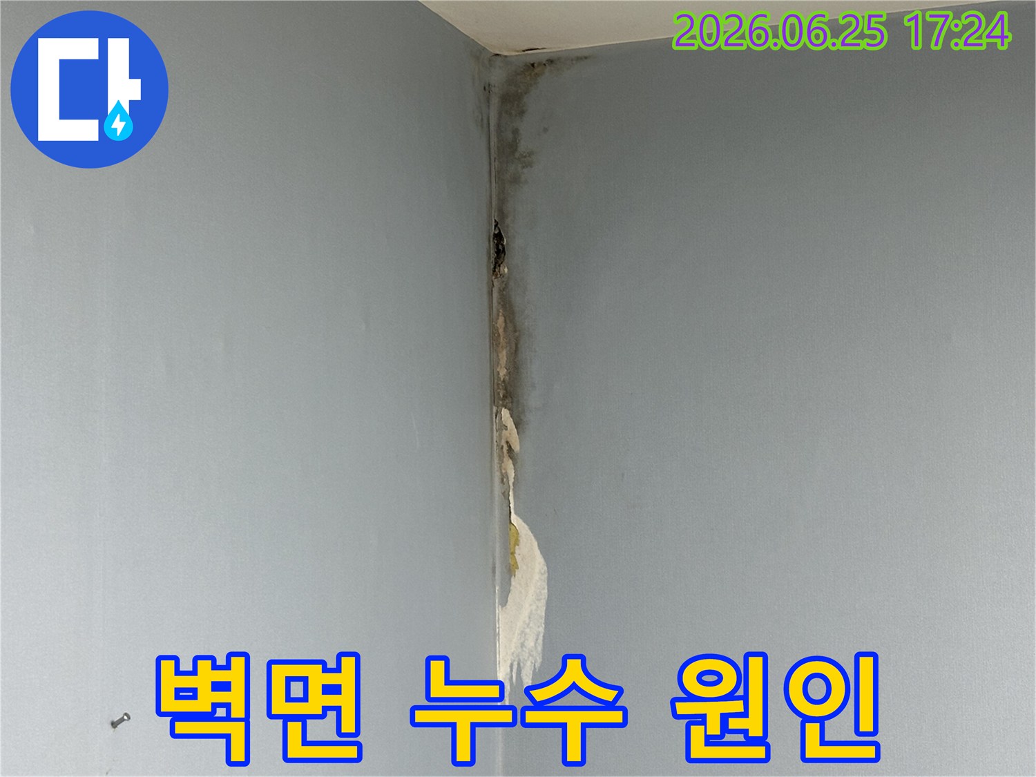 아파트-벽면-코너에서-발생한-누수로-인해-벽지가-젖어-들뜨고-심한-곰팡이가-피어난-손상-상태를-보여주는-사진입니다