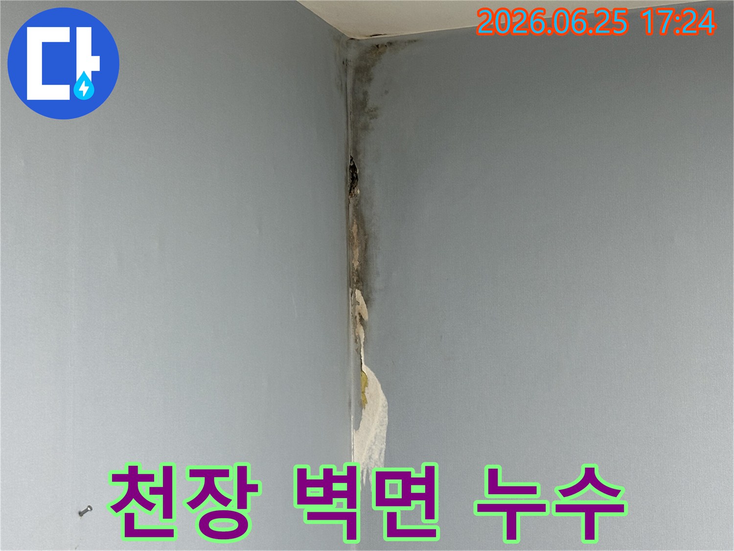 아파트-천장과-벽면-코너에서-발생한-누수로-인해-벽지가-젖고-심한-곰팡이가-피어난-손상-현장을-보여주는-사진입니다