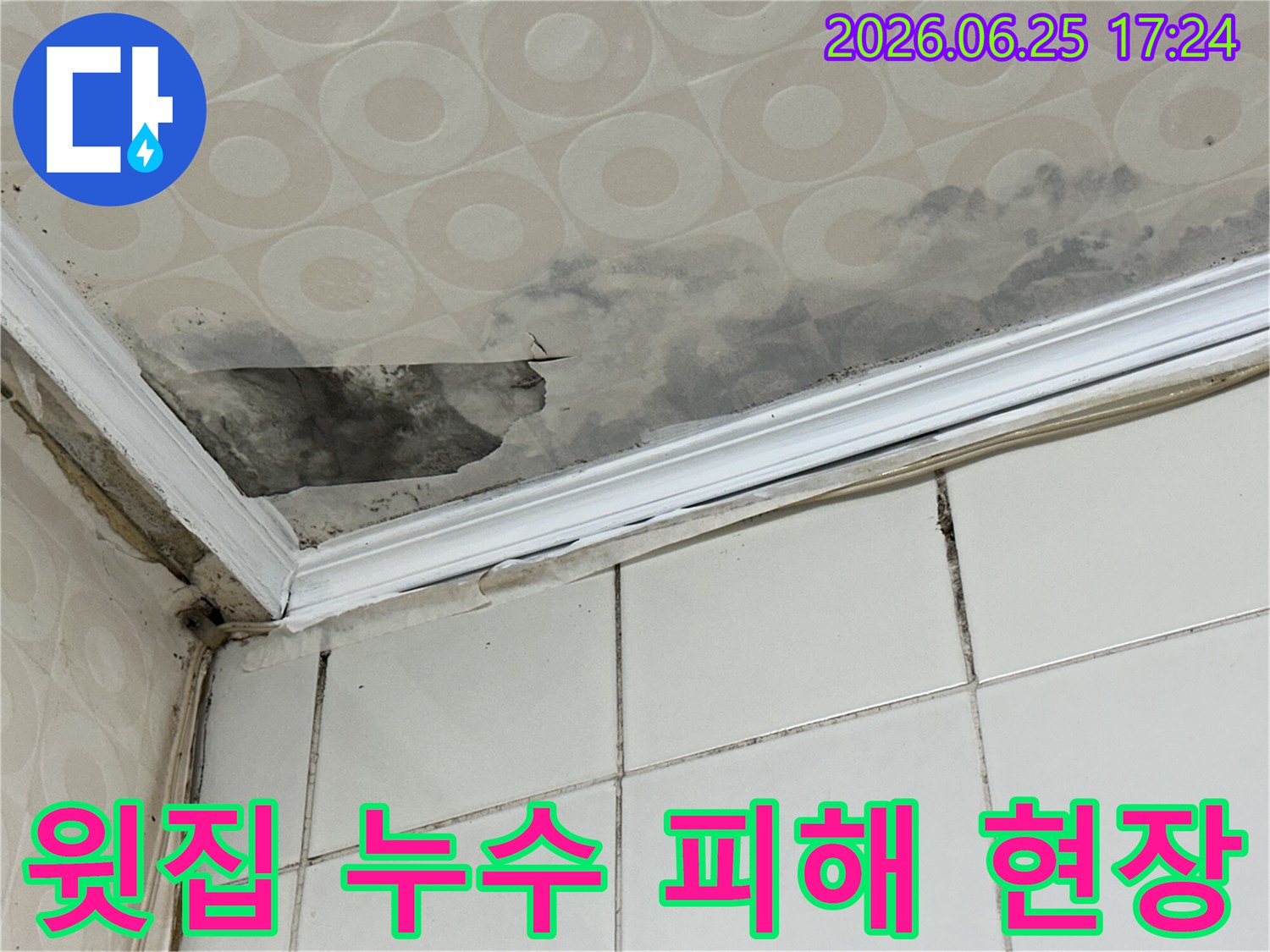 윗집-누수로-인해-천장-재료가-손상되고-곰팡이가-생성된-현장을-누수-전문가가-방문하여-근본적인-원인을-찾습니다
