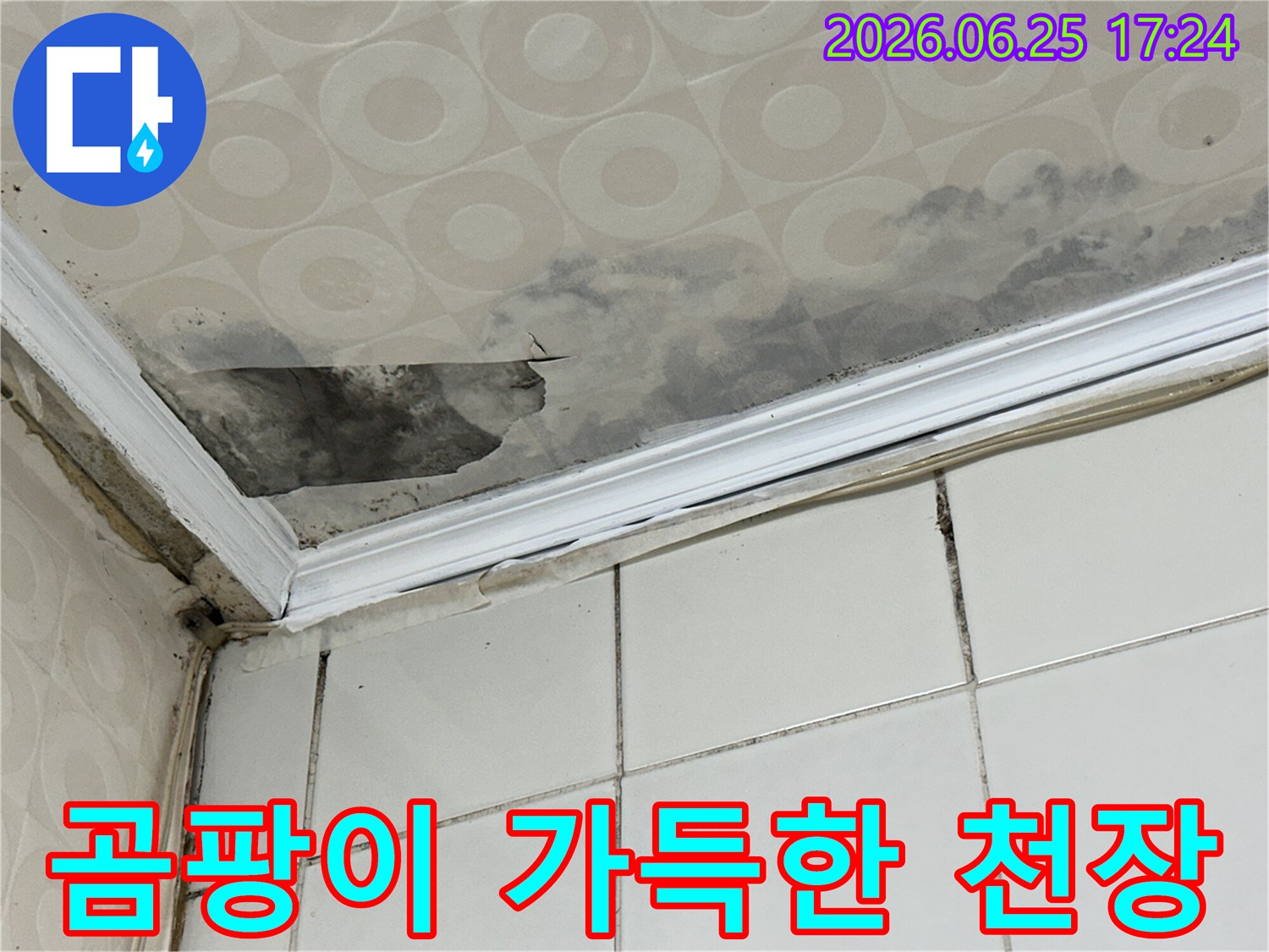 천장-마감재가-물을-흡수하여-변색되고-곰팡이가-피어난-상황을-누수-전문가가-정확한-탐지-후-복구-계획을-수립합니다