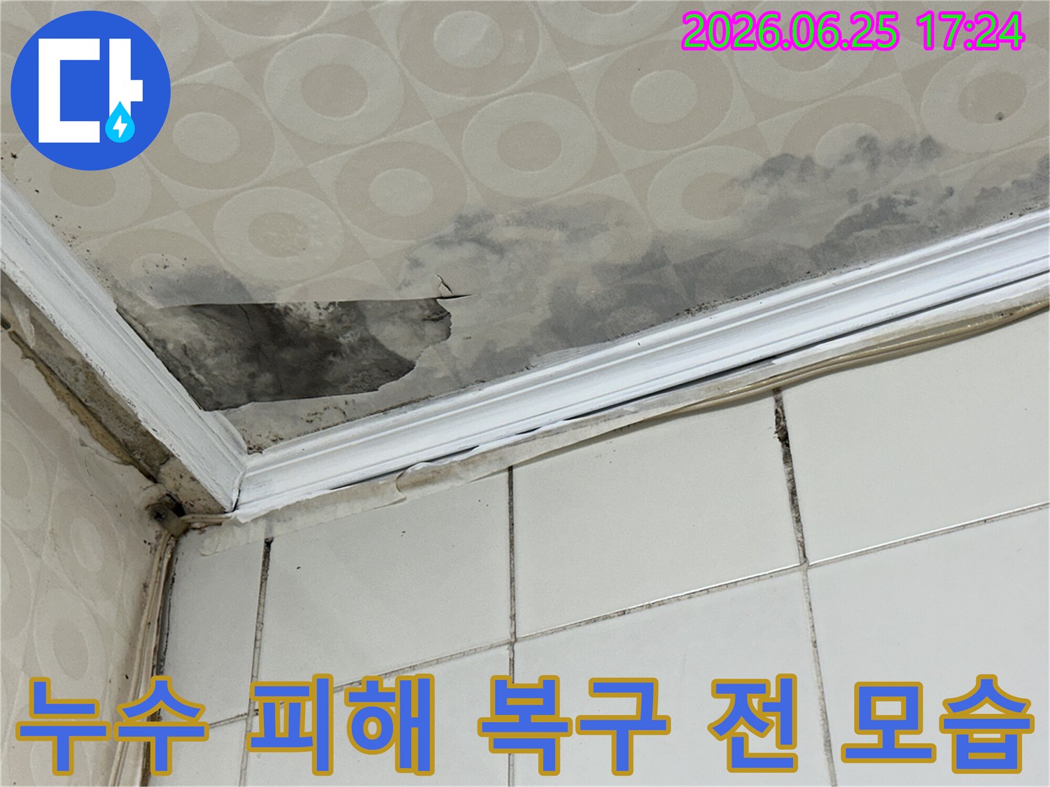 천장-마감재가-물을-흡수하여-변색되고-곰팡이가-피어난-상황을-누수-전문가가-정확한-탐지-후-신속하게-복구-계획을-수립합니다
