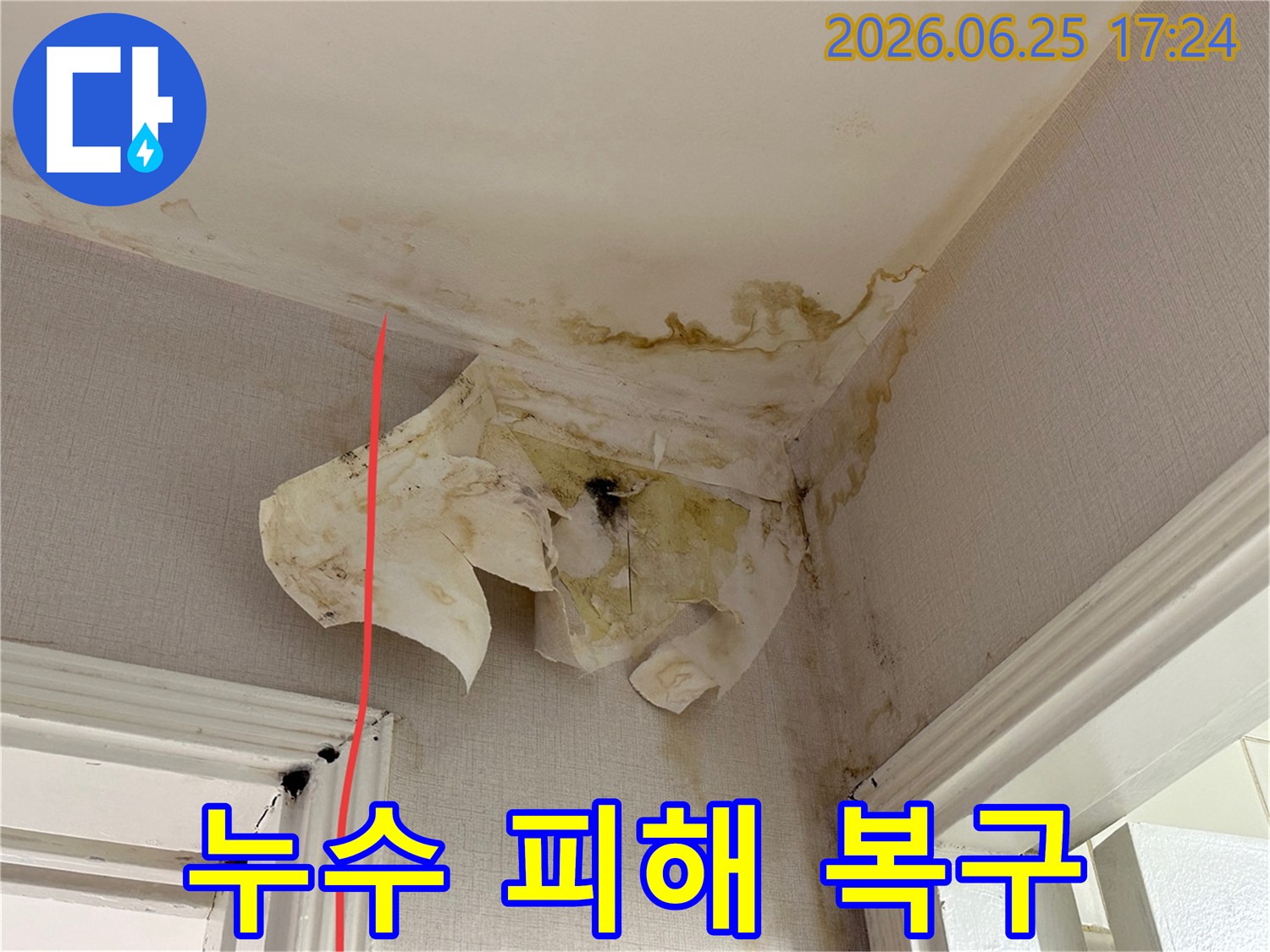천장과 벽면의 곰팡이와 물 얼룩은 심각한 누수 문제와 그로 인한 구조적 손상을 시사합니다.