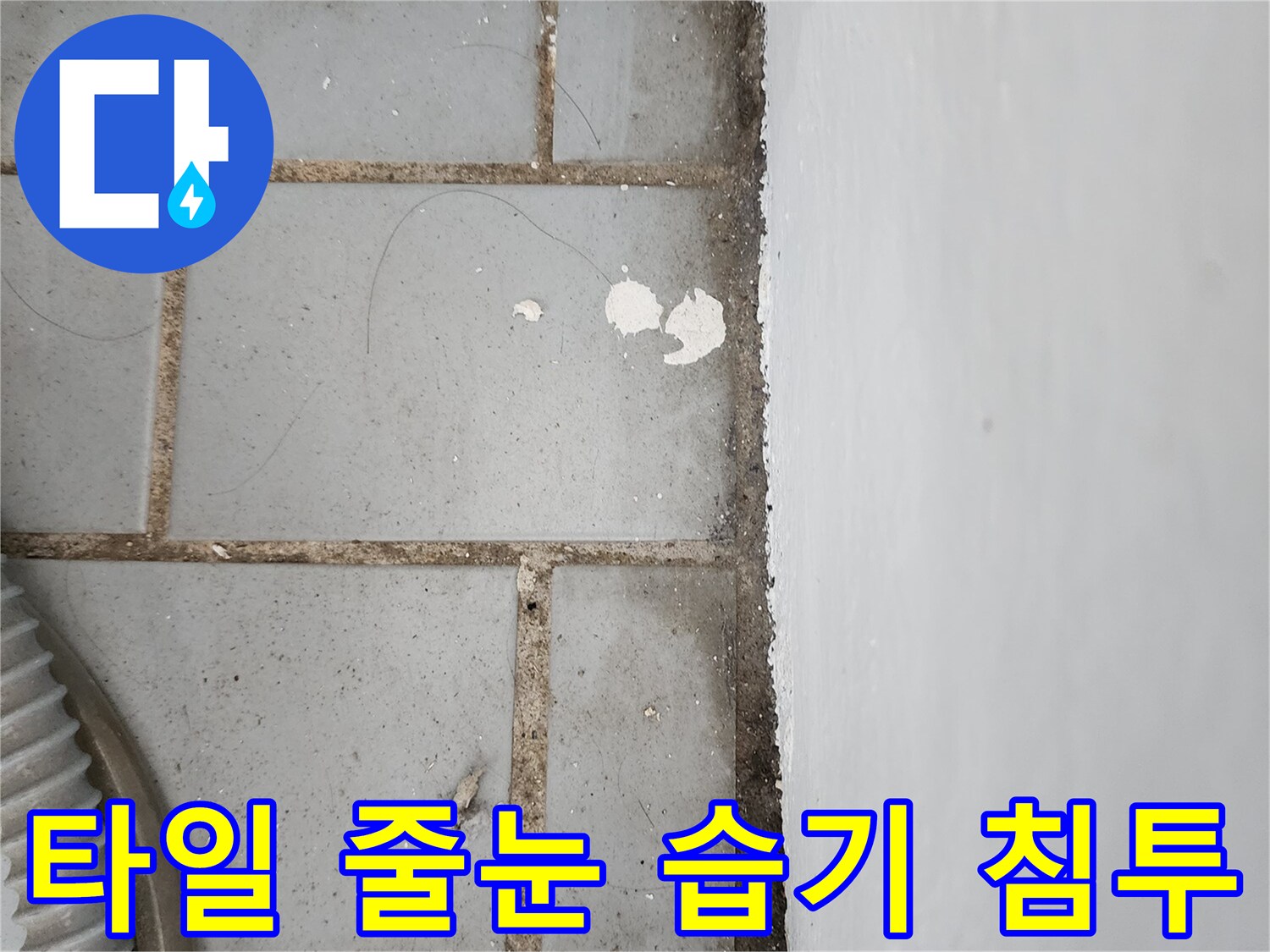 세탁실 타일 사이-물샘으로 인한 곰팡이와 얼룩