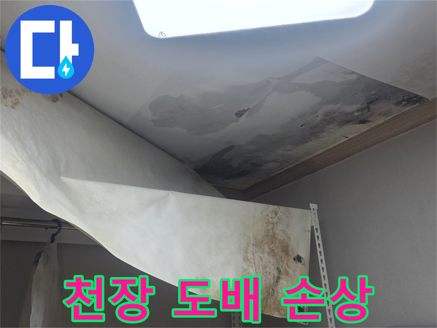 물에 젖어 축 처지고-곰팡이가 번식한-천장 벽지의-심각한 피해 현장입니다