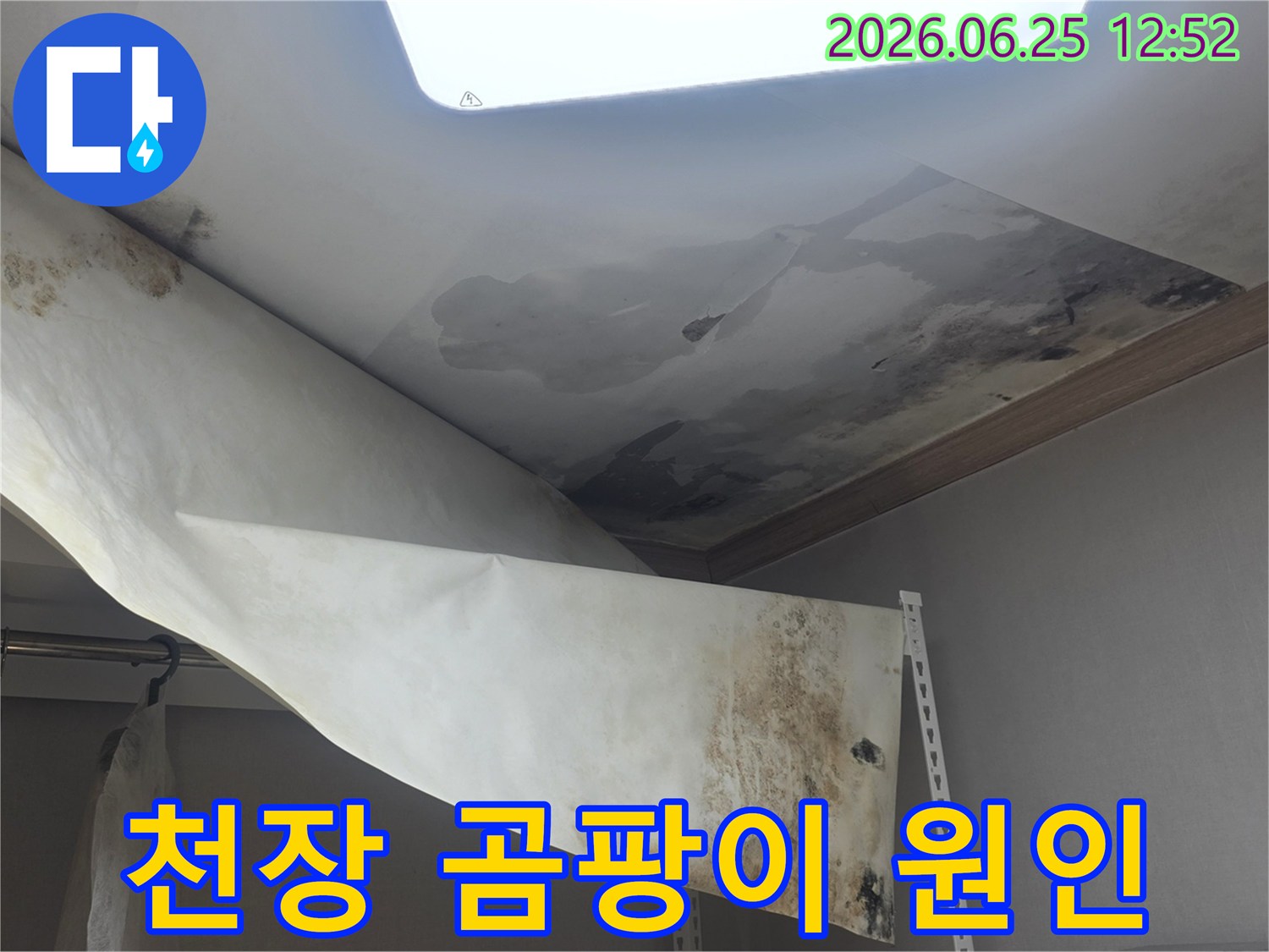 천장 벽지에 생긴-심한 곰팡이와-물에 젖어 떨어진-누수 피해 현장입니다