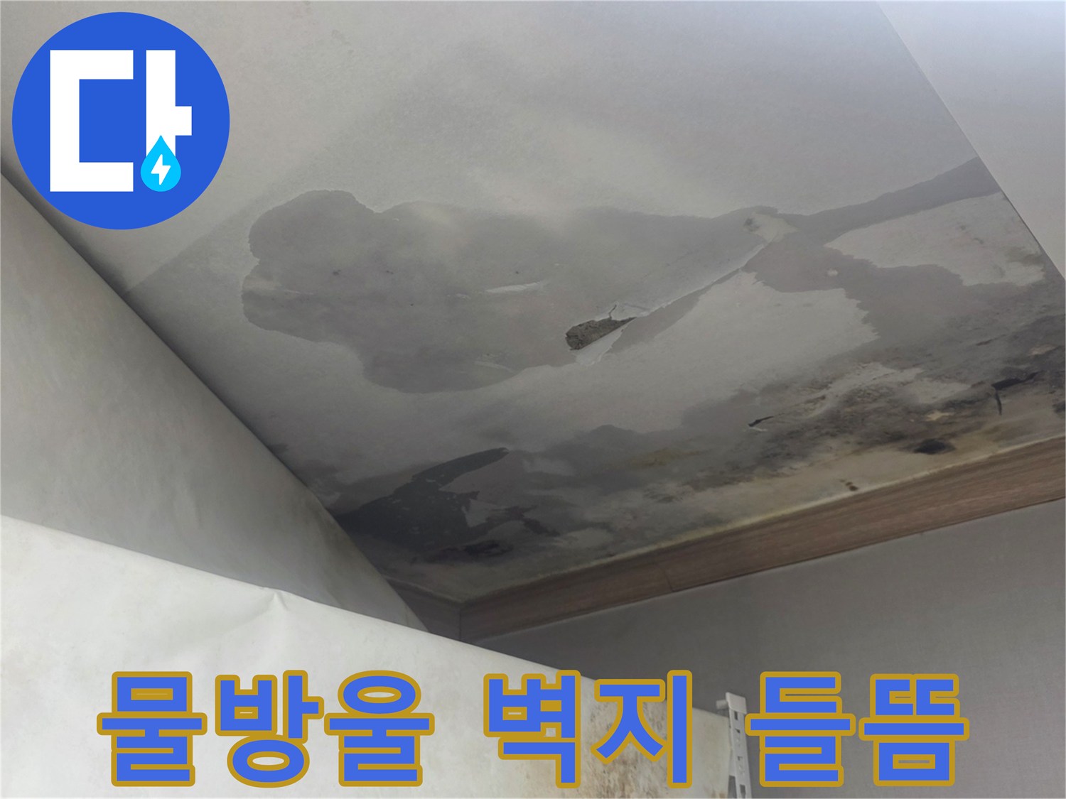 천장의 물방울 자국과-벽지가 들뜨고 변색된 모습은-누수로 인한 광범위한 실내 손상을 나타냅니다.