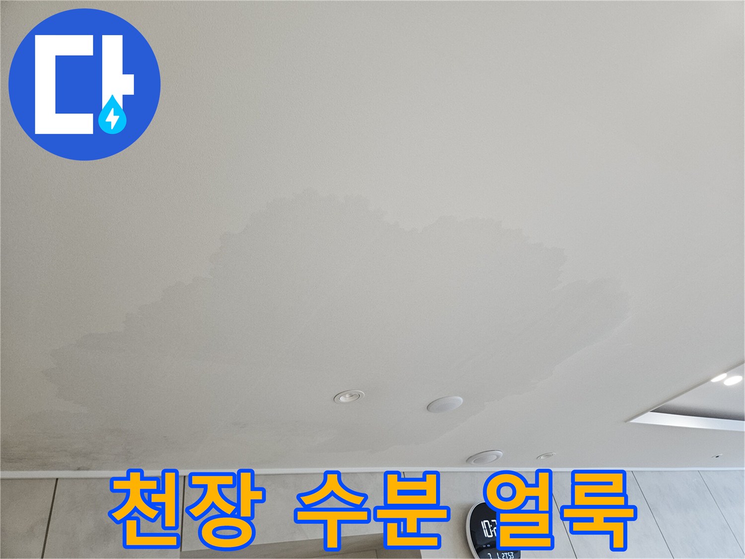 넓게 퍼진 천장 누수 오염 - 현장 점검 사진