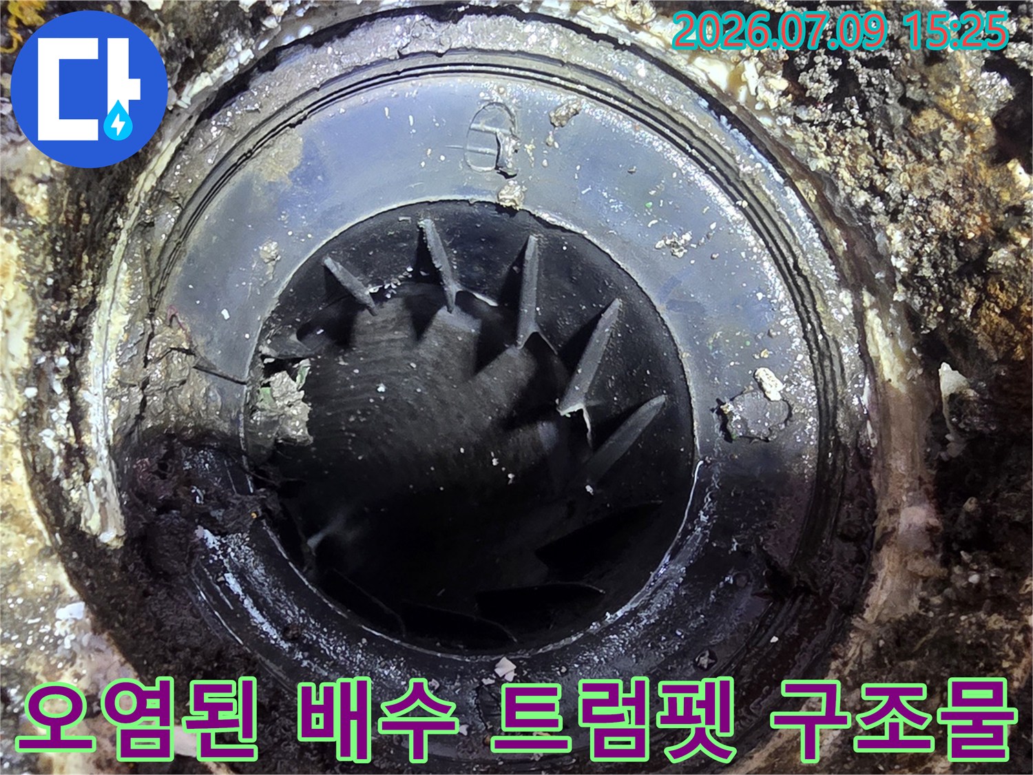 먼지와 찌꺼기로 오염되어 누수 위험이 높은 세탁실 배수 트럼펫