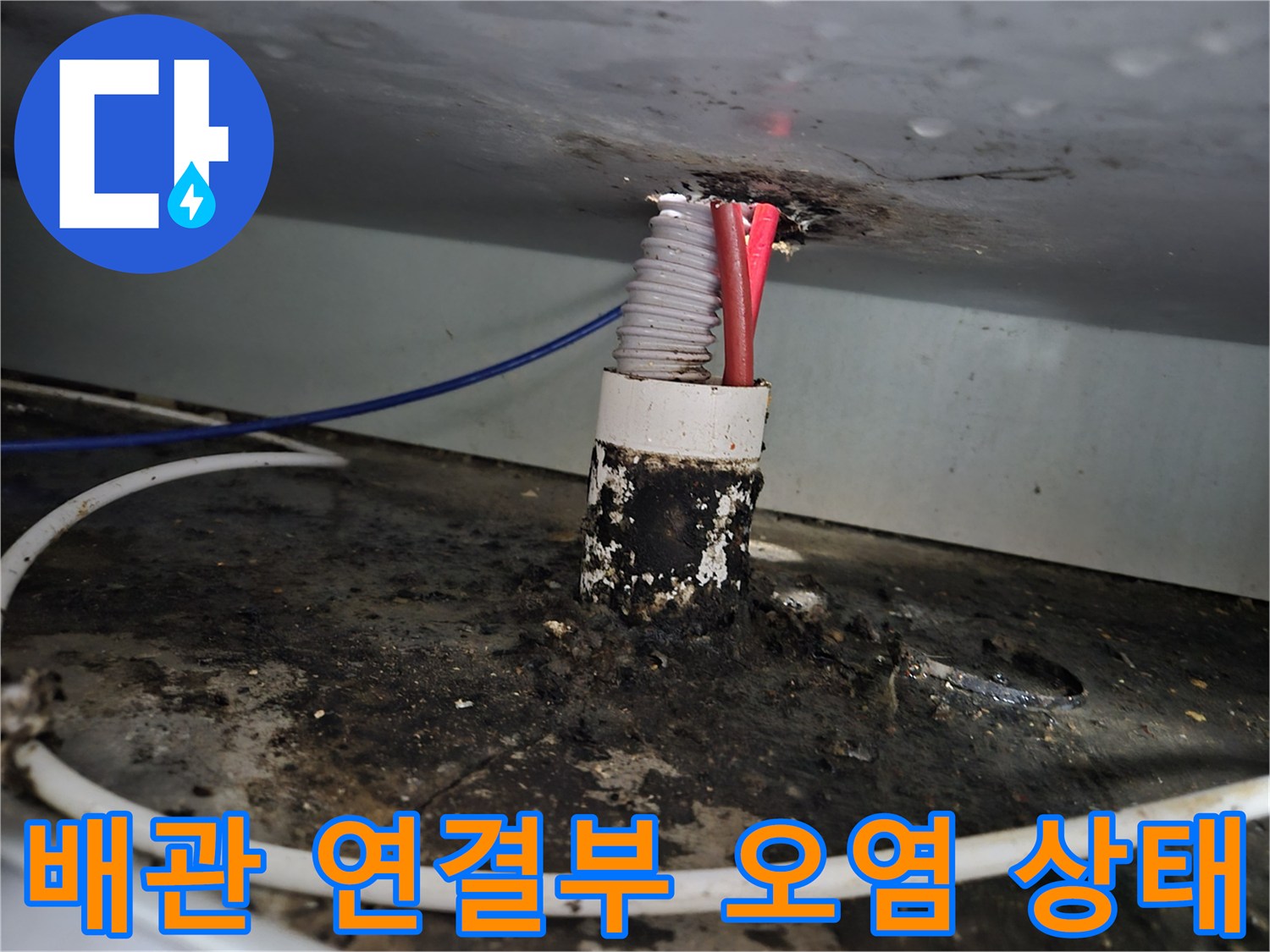 기름때와 습기로 인해 검게 변한 싱크대 배관 주변