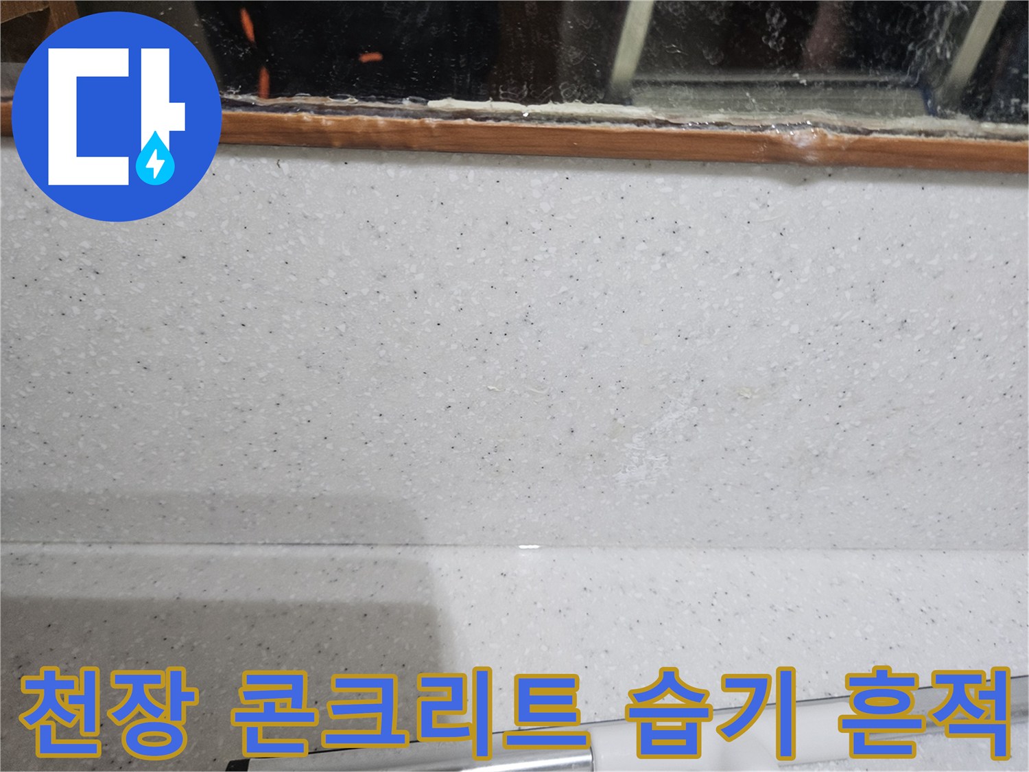 안양 아파트 천장-콘크리트 슬래브의 물길과 백화 현상
