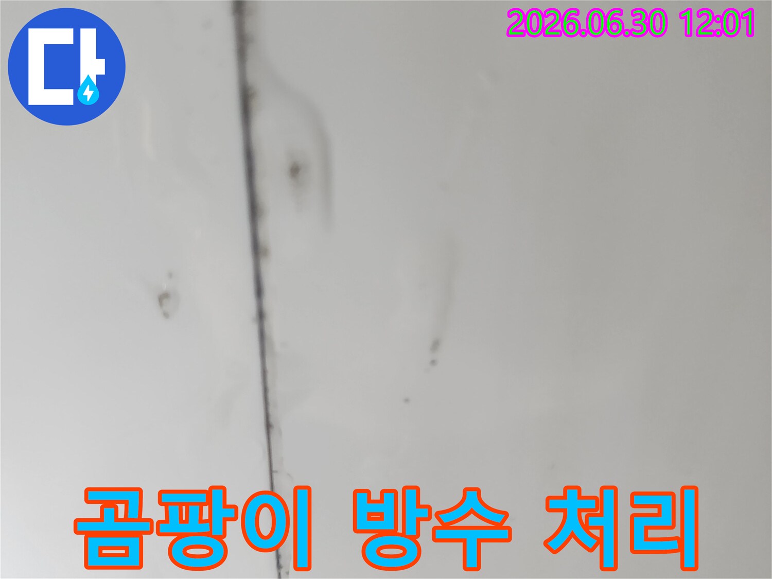 천장-이음새-부분에-물기가-스며들어-생성된-곰팡이와-함께-표면이-변색된-모습을-촬영했습니다.