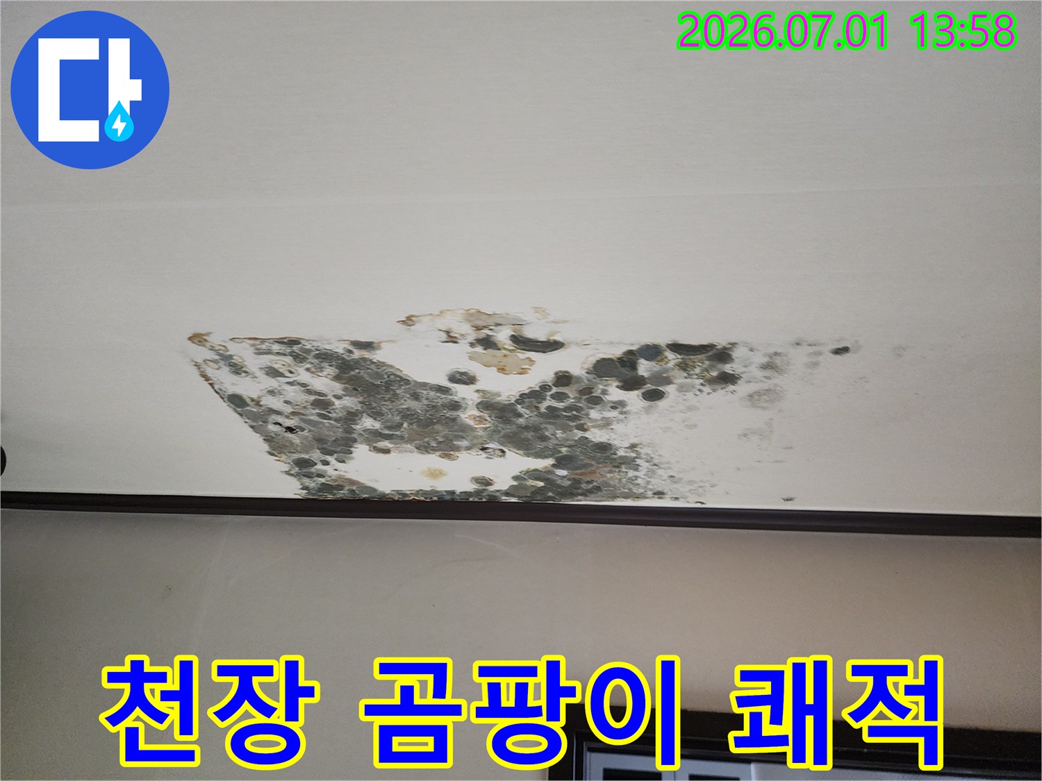 누수로-인해-천장에-발생한-곰팡이-피해를-보여주며-쾌적한-주거-공간-조성의-필요성을-강조하는-사진입니다