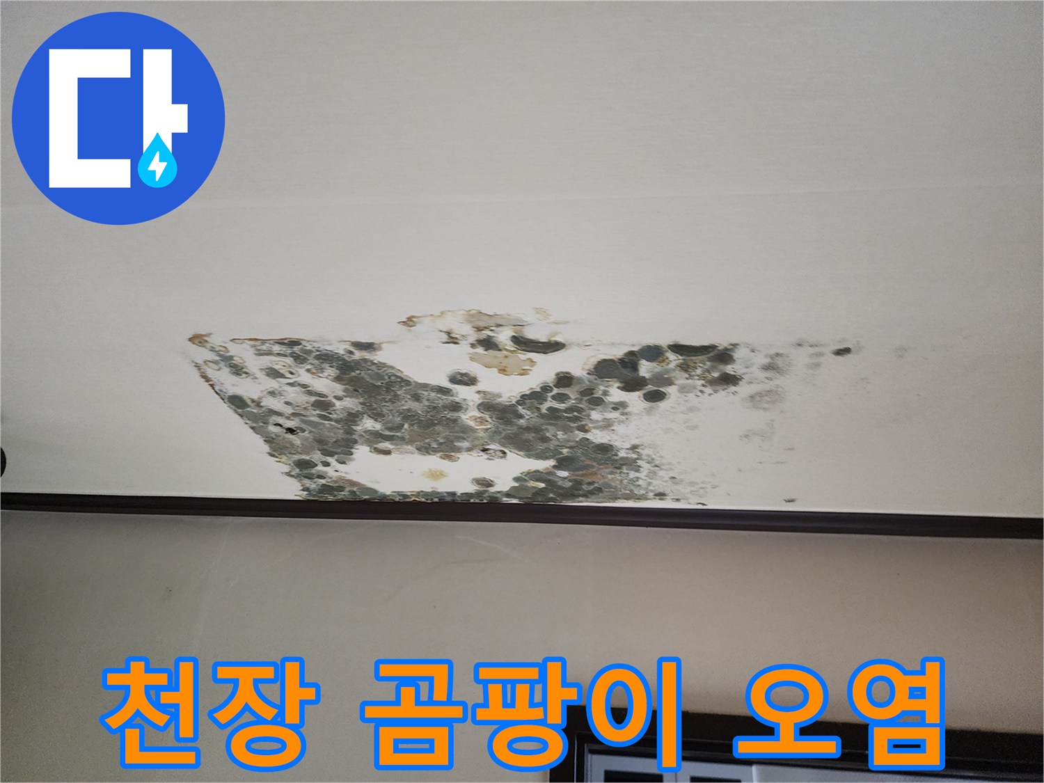 습기 침투로 인한-천장의 검은 곰팡이 얼룩
