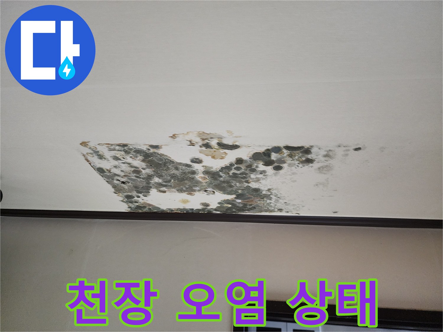 습기로 인해 곰팡이가 발생한 천장 마감재 부위