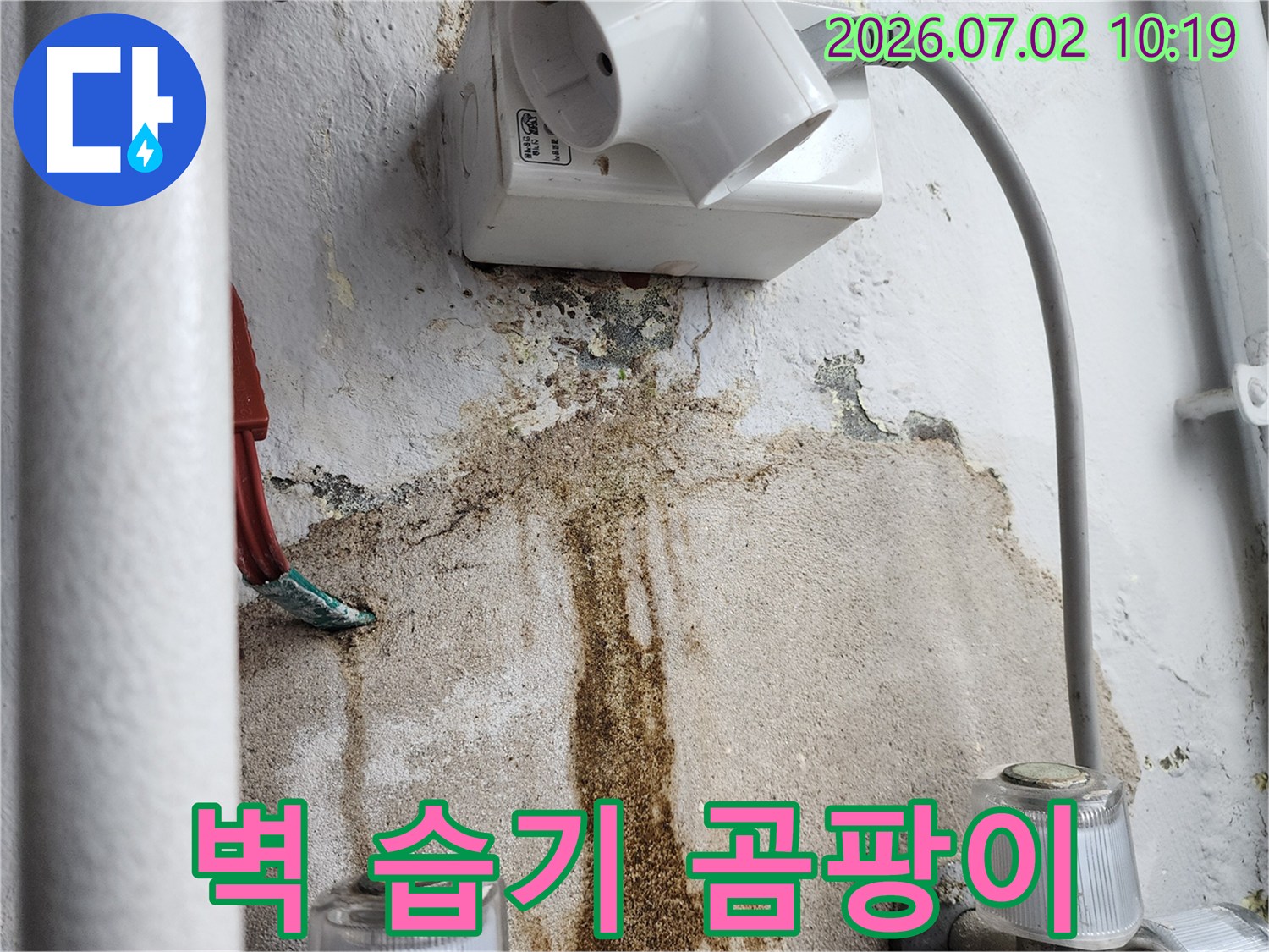 울산-복산2동-주택-벽에서-발견된-심각한-누수-흔적과-곰팡이