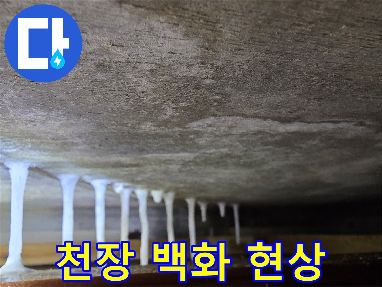 천장 하부에 맺힌 하얀 석회물 형태의 고드름