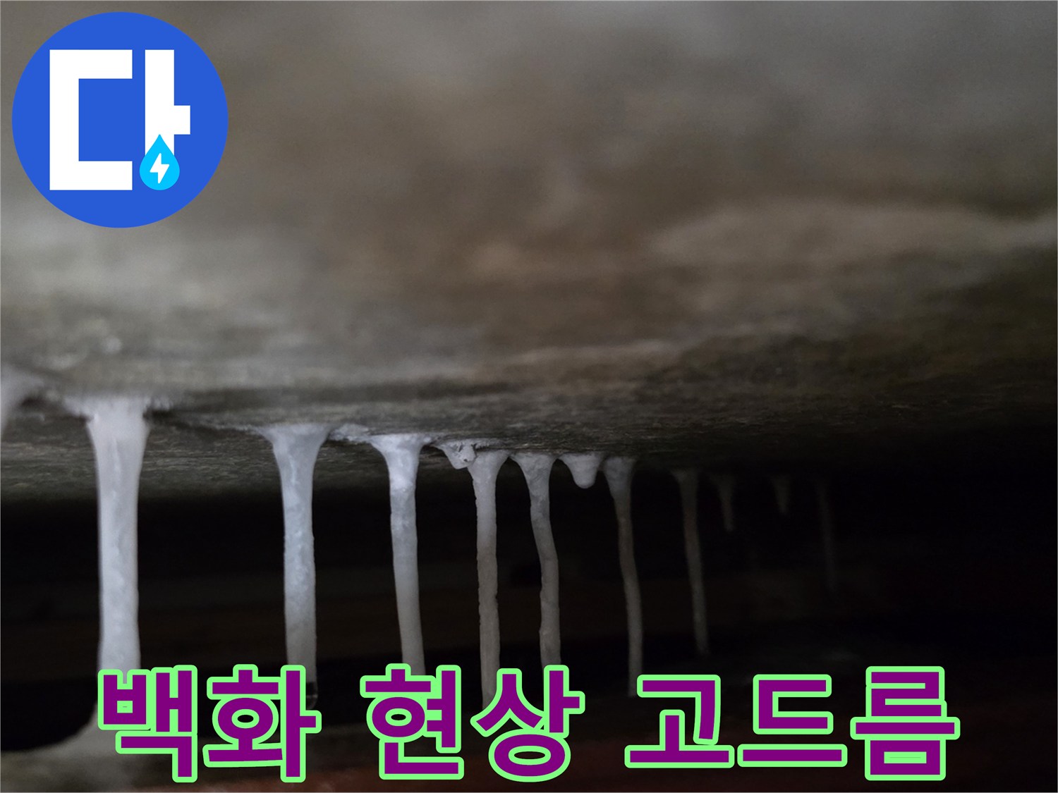 하얀색-석회물이-맺힌-천장-내부-모습