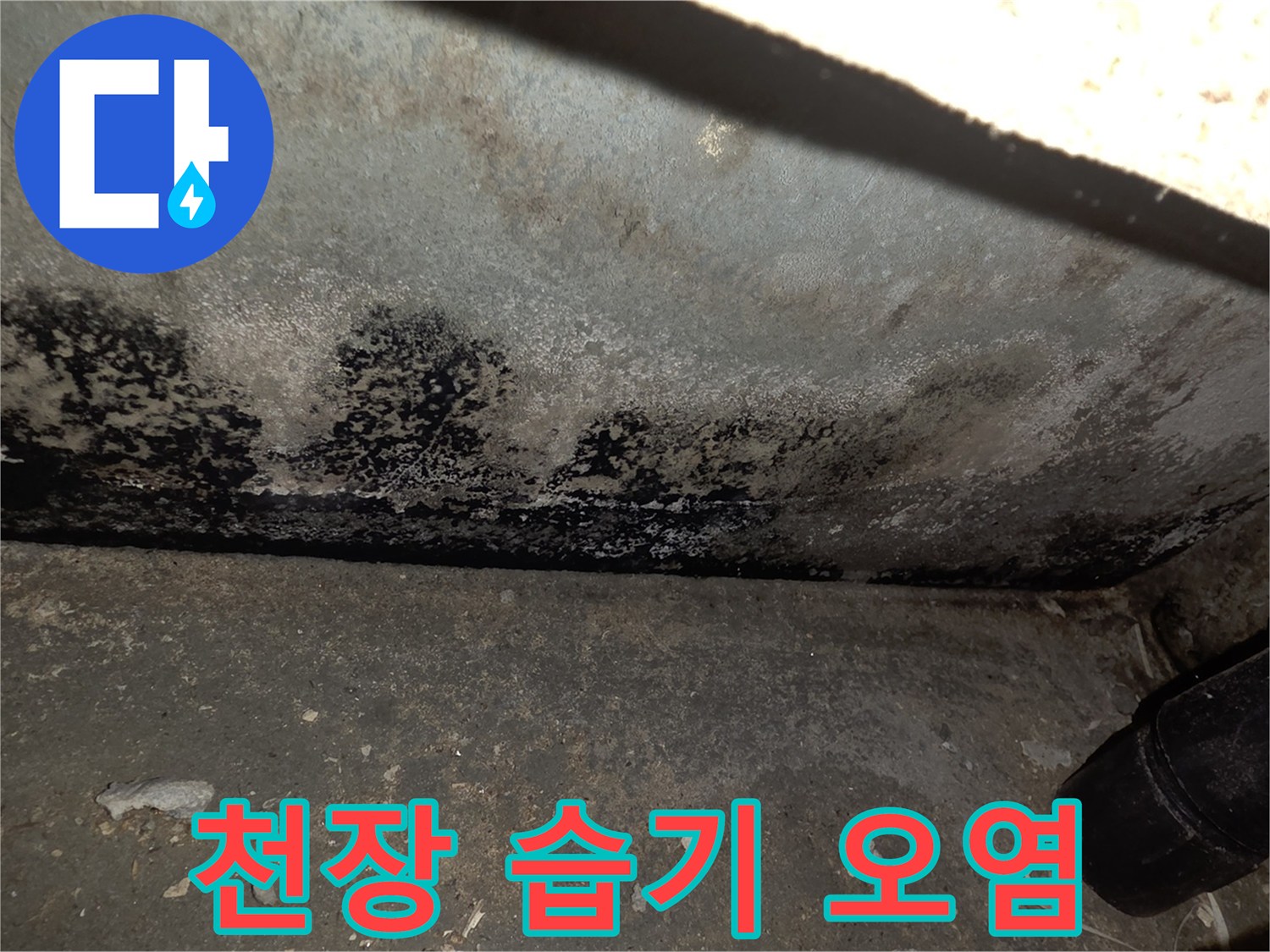 물샘-현상으로-번진-천장-벽지-곰팡이