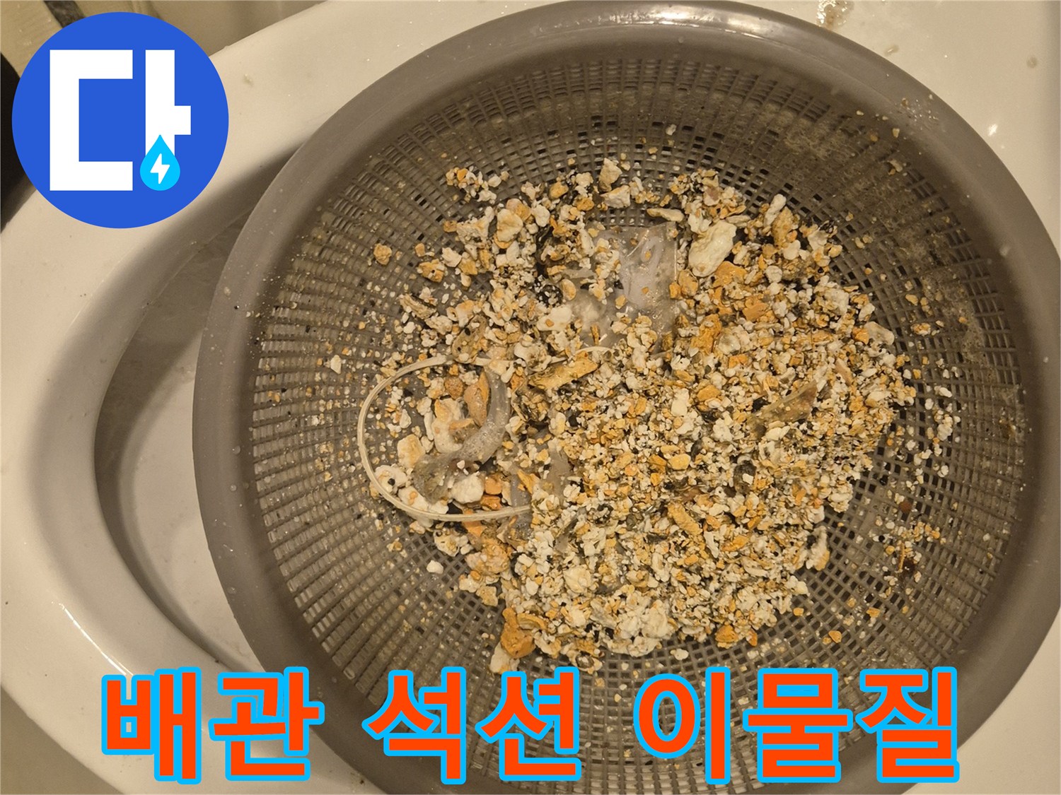 싱크대 배관에서 추출된 기름 슬러지와 음식물 찌<0xA0>꺼기