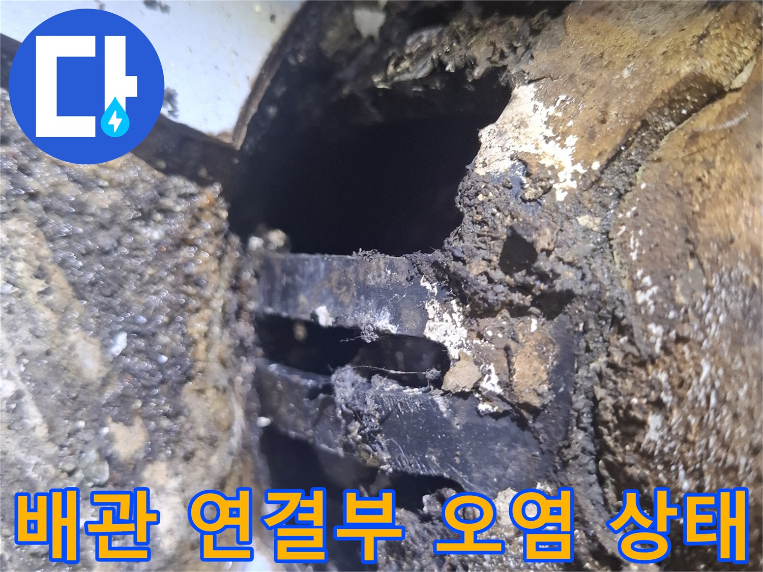 이물질로-가득히-뒤덮인-우수관-주변-배관구조