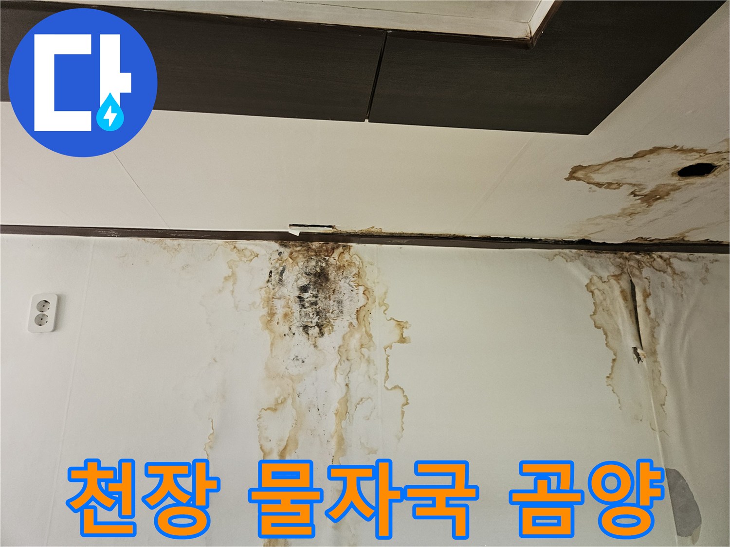 성북구-정릉동-아래층-천장-벽면의-심한-물자국과-곰팡이-상태