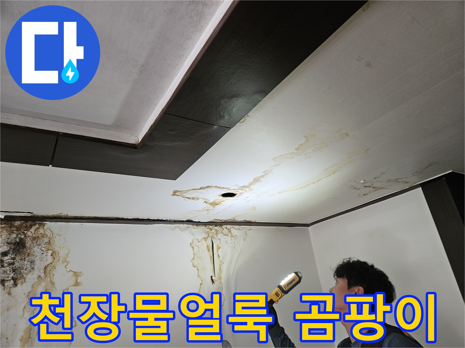 성북구 정릉동 아파트-천장 벽면의 심한 물 얼룩과 곰팡이 상태