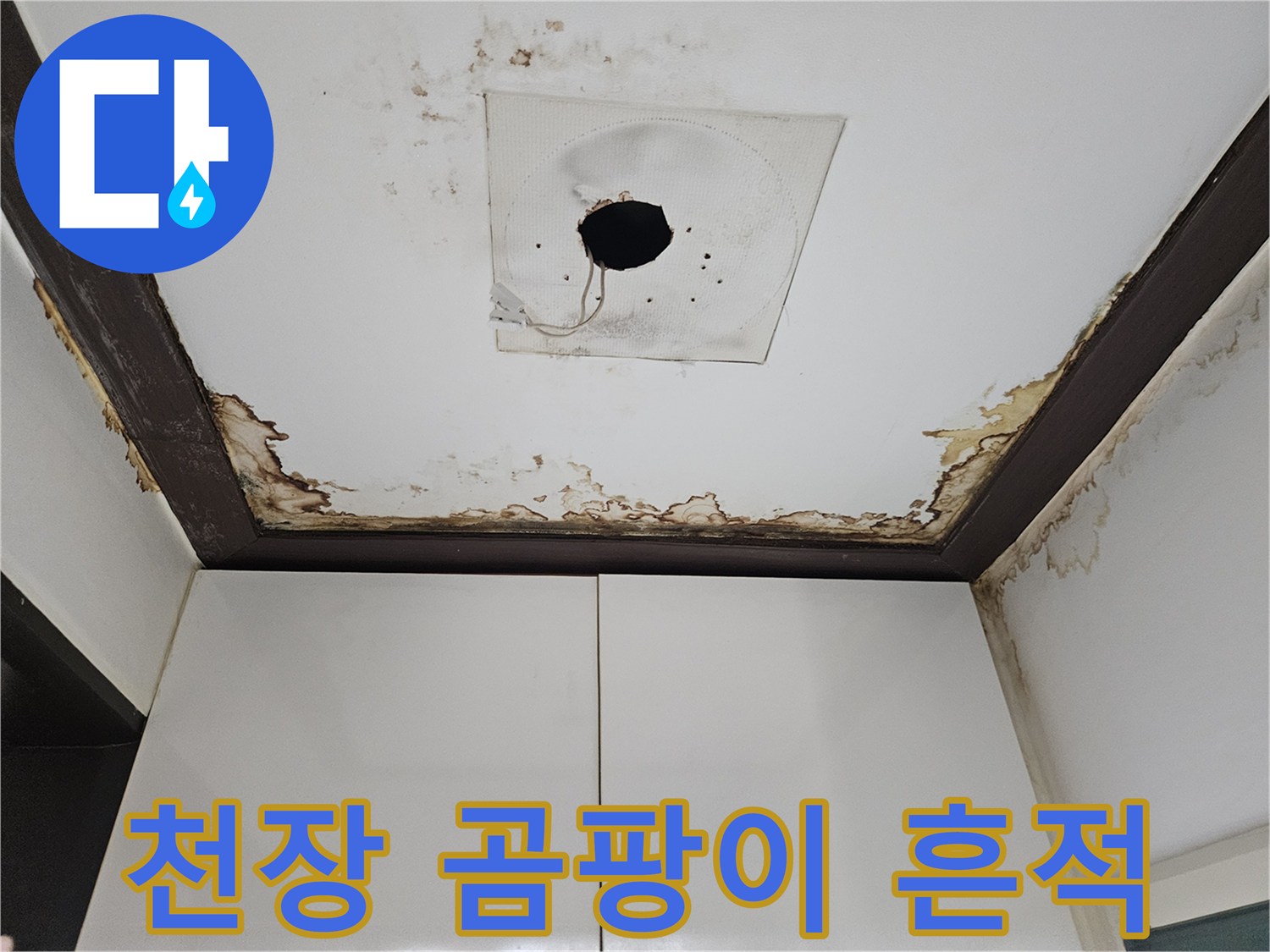 아래층-천장-가장자리의-누수-및-곰팡이-오염