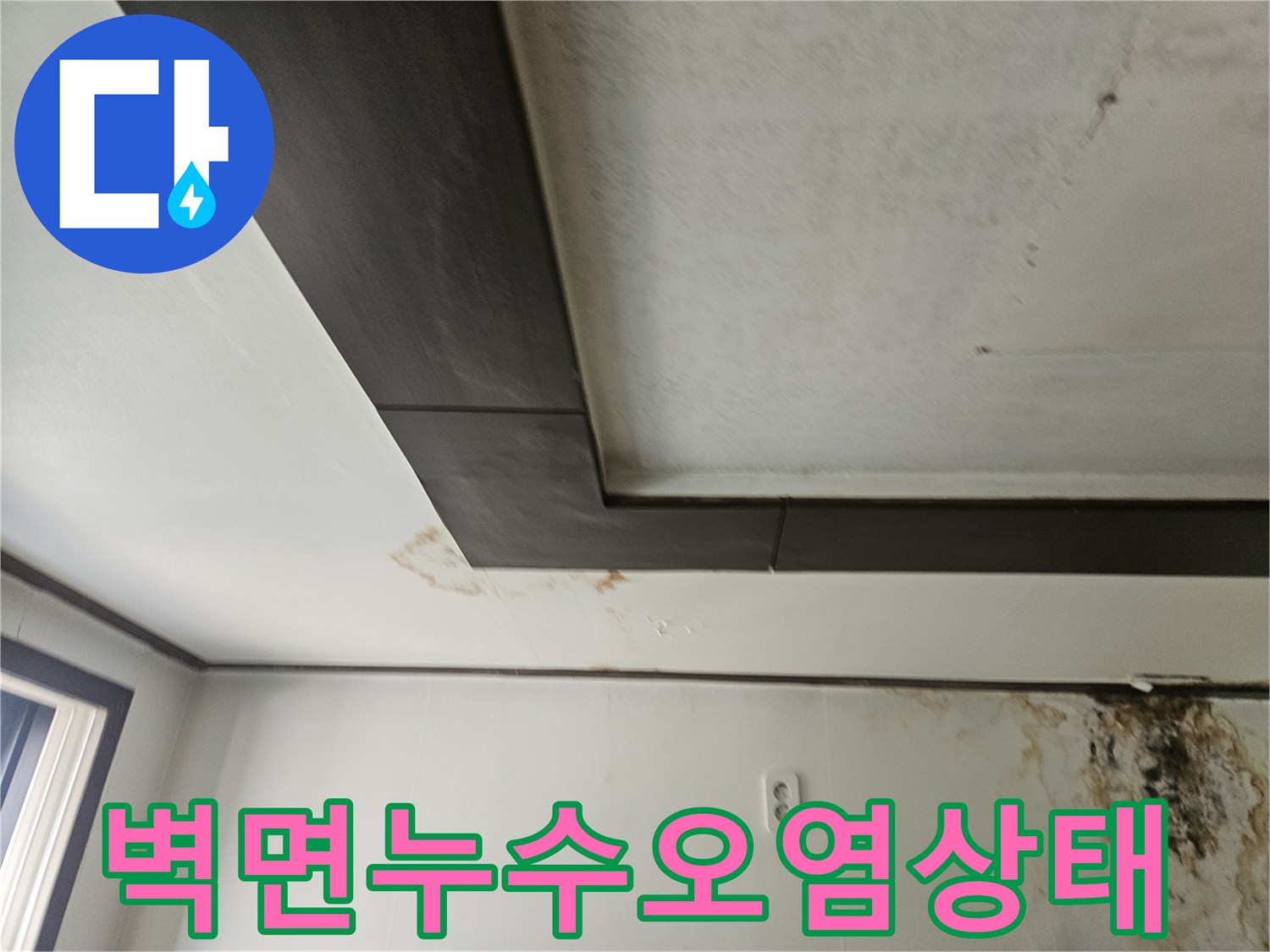 정릉동 현장-천장 몰딩 아래 벽면에 퍼진 곰팡이와 물 얼룩