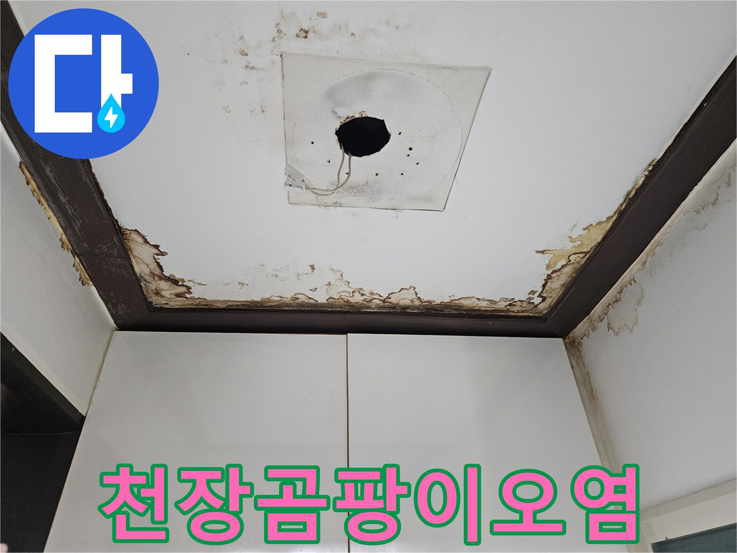 천장-구멍-주변의-심각한-물자국과-오염