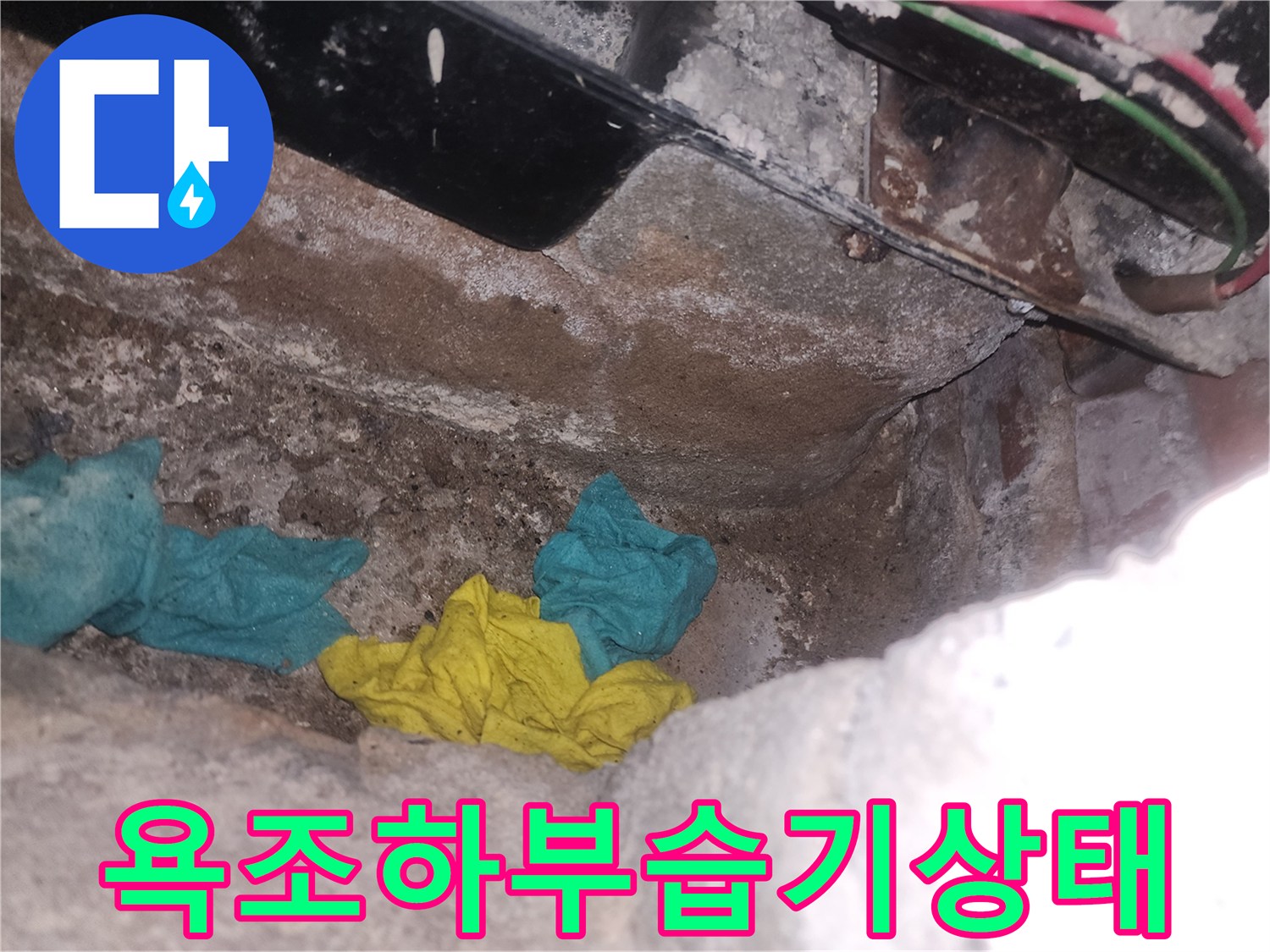 욕조 내부 점검구 주변의 젖어있는 마감재와 습기